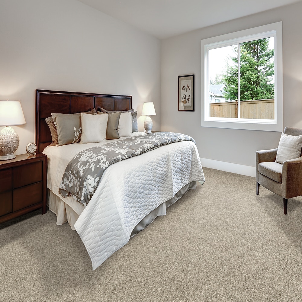 STAINMASTER SS040-L003-S0808 Carpet-Samples - View #2