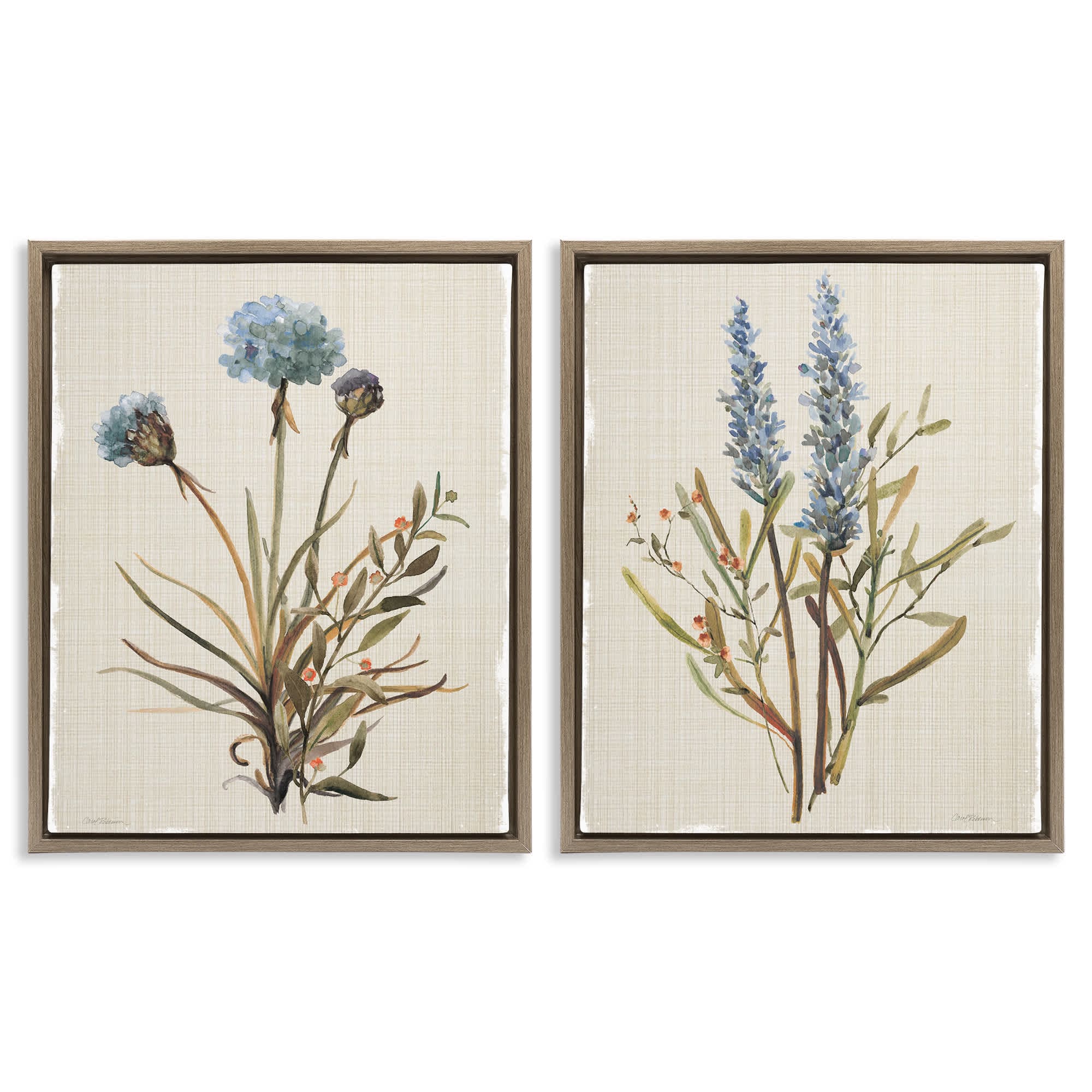 Stupell Industries B2-748-FFE-2PC-24X30 Natural Budding Blooms 2 Piece Brown Framed Floater Canvas Set By Carol Robinson 31 x 25
