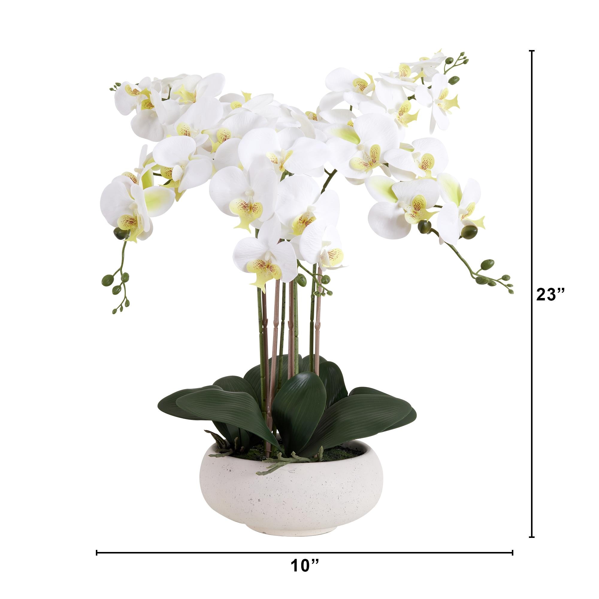 allen + roth A2064 Artificial-Plants-Trees - View #6