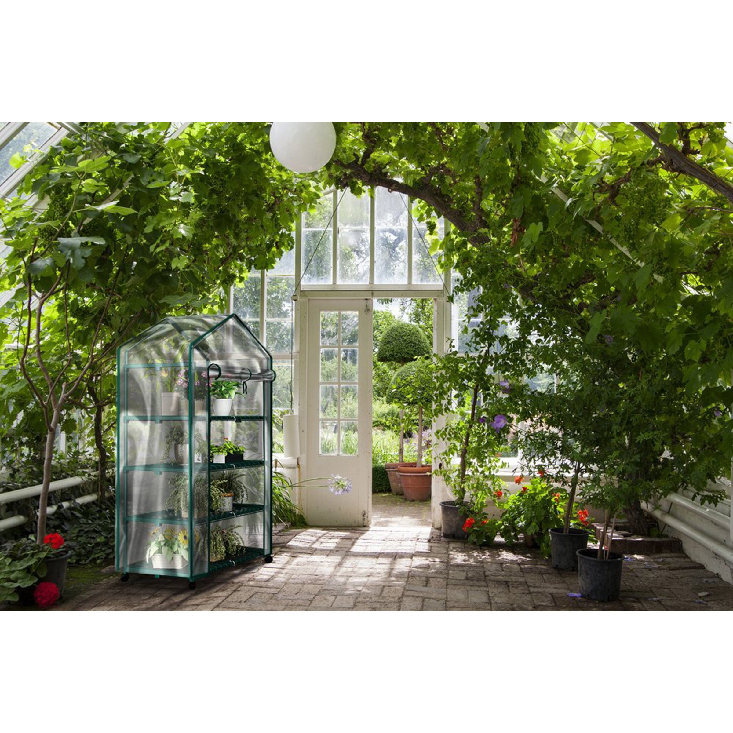 or Flowers In Any Season-Gardening Rack Seedlings Home-Complete Walk-In Greenhouse- Indoor Outdoor with 8 Sturdy Shelves-Grow Plants Herbs 