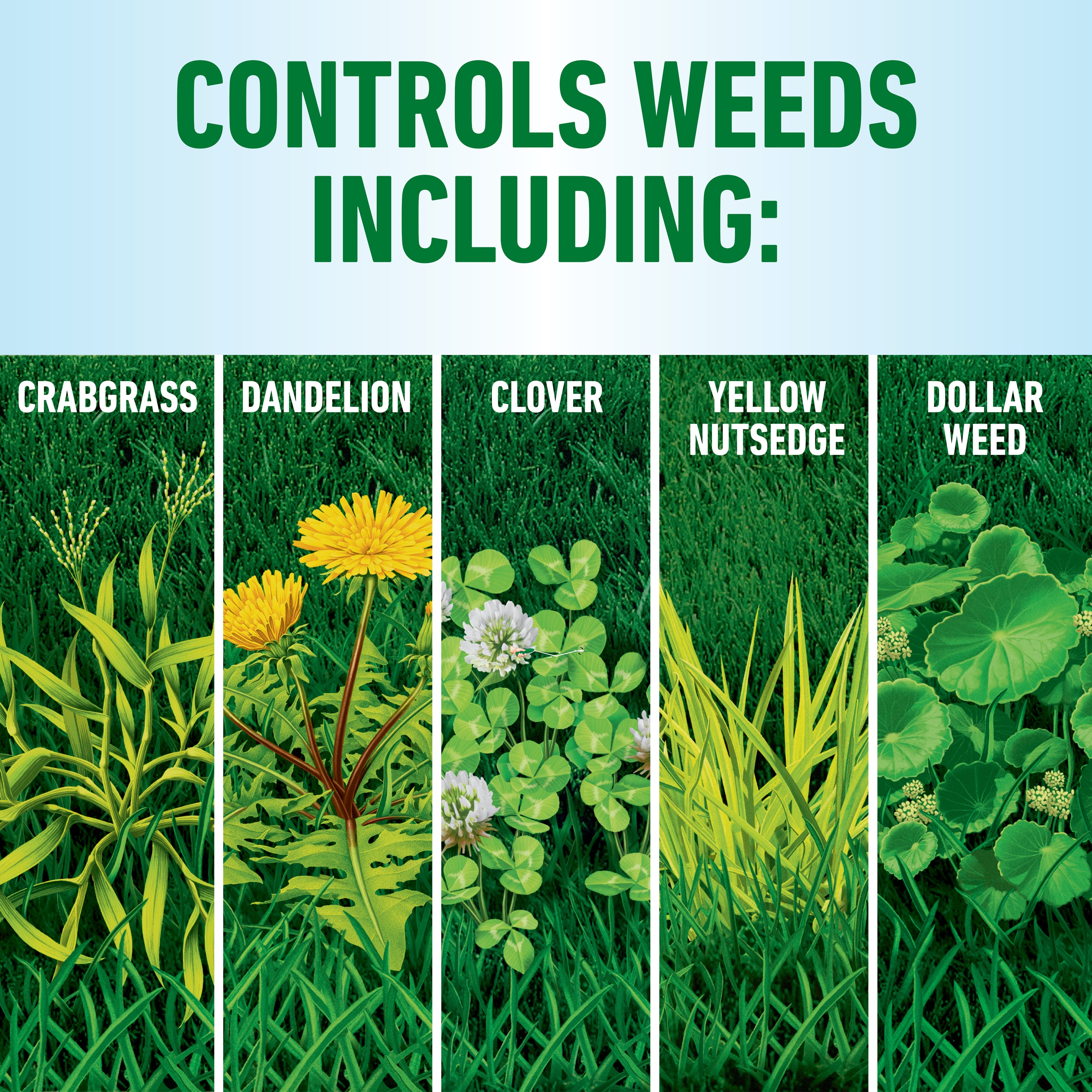 Roundup 5020315 Weed-Killers - View #6