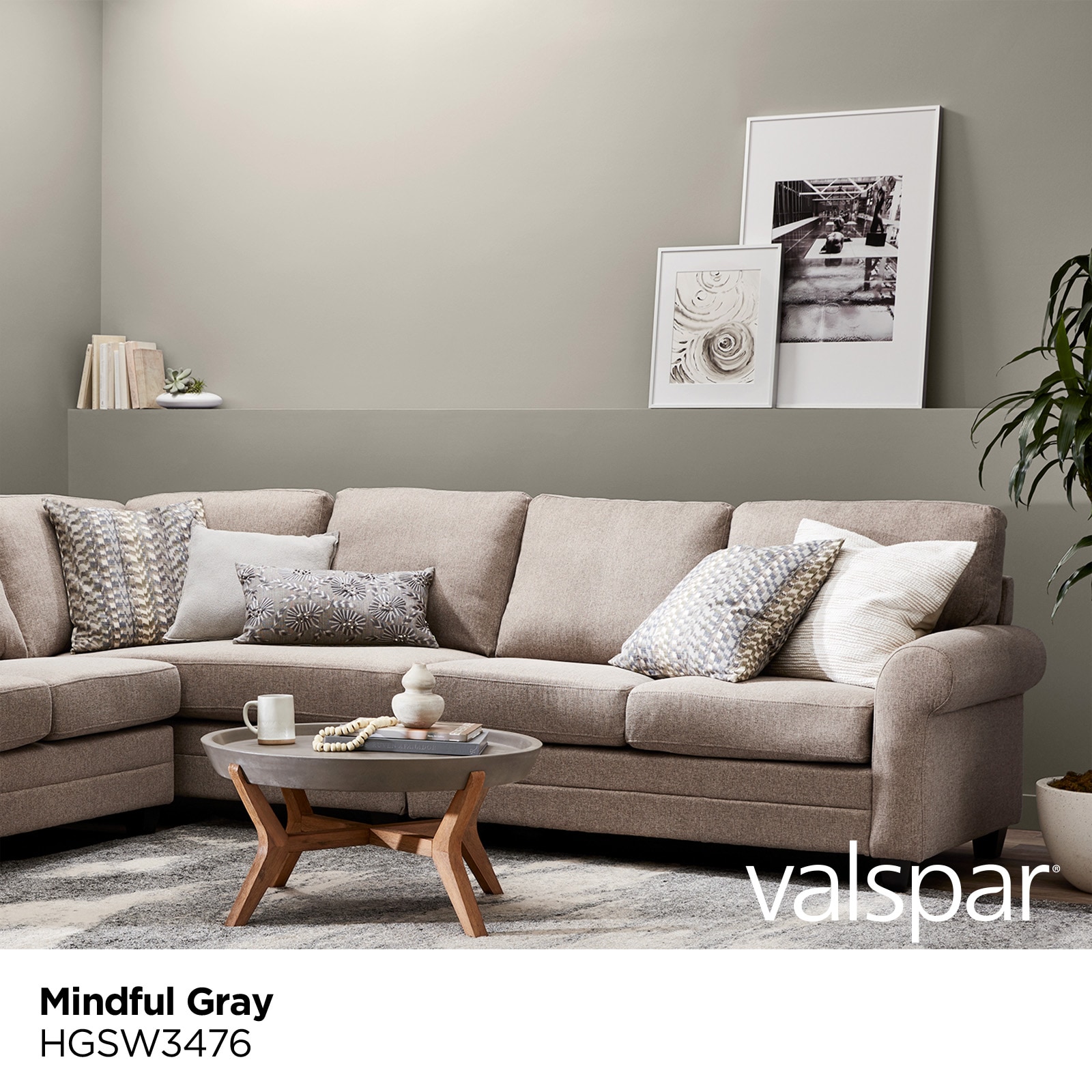 mindful gray paint