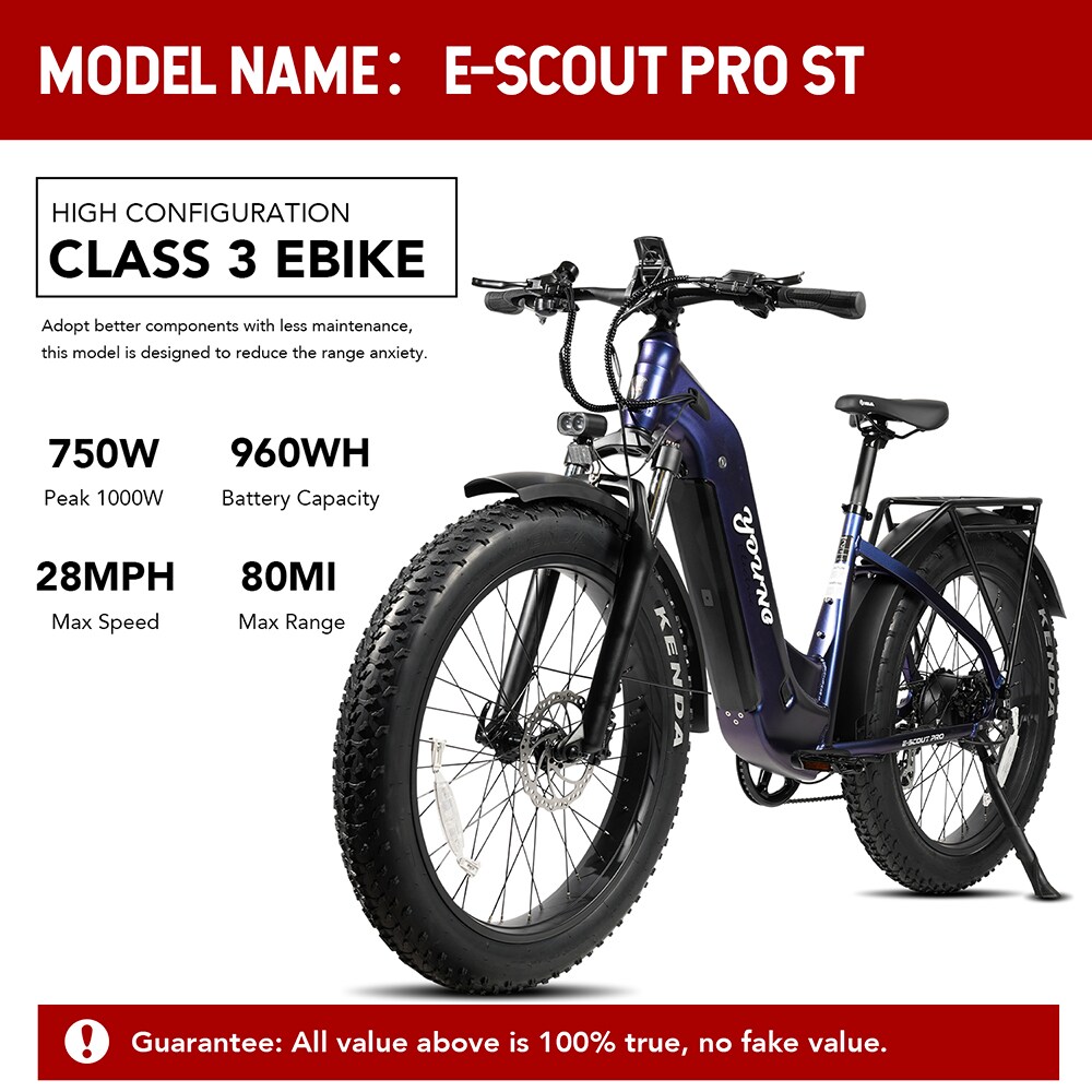 Young Electric 12803024BL bikes - View #2
