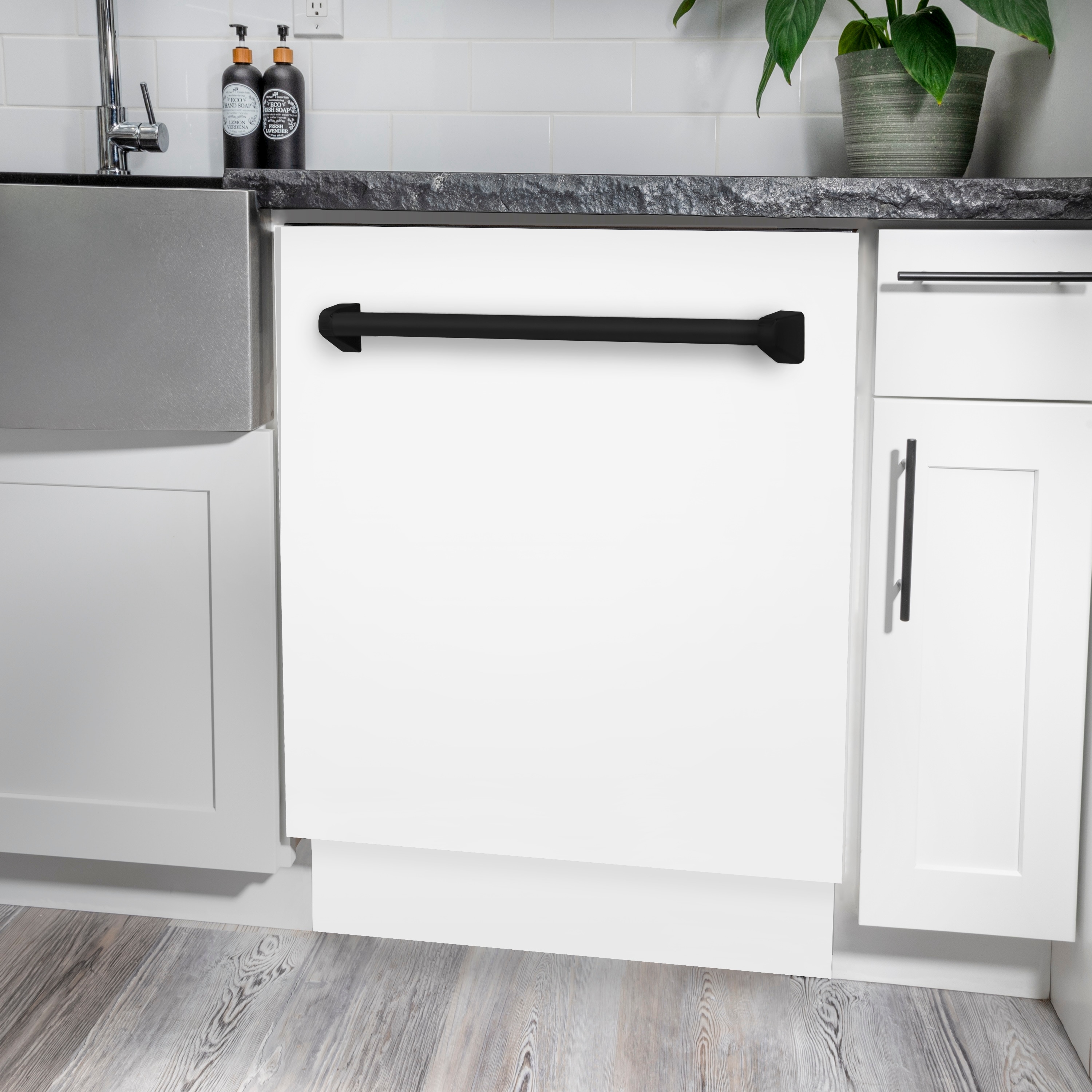ZLINE KITCHEN & BATH DWVZ-WM-24-MB Builtin-Dish - View #14