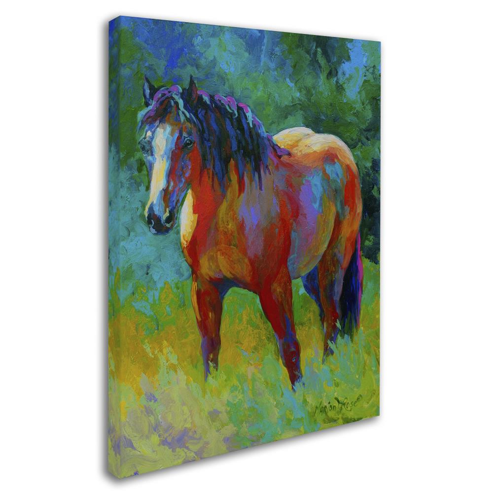 Trademark Fine Art ALI7700-C1824GG Wall-Art - View #2