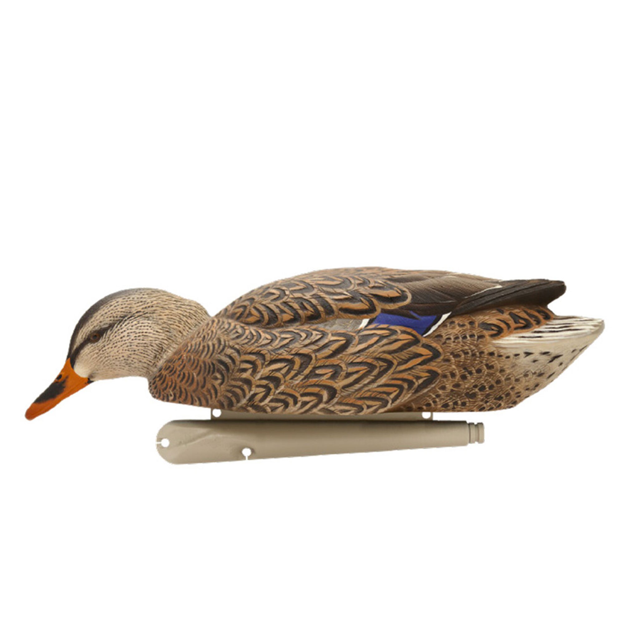  Avian X 408532 Hunting-Equipment - View #11