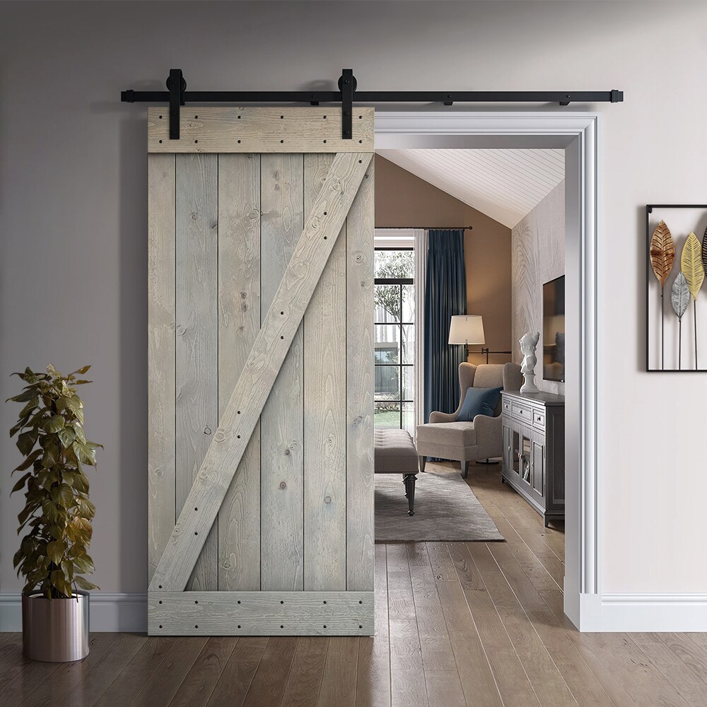 CALHOME S11-MK-72+B26SKG Barn-Doors - View #2