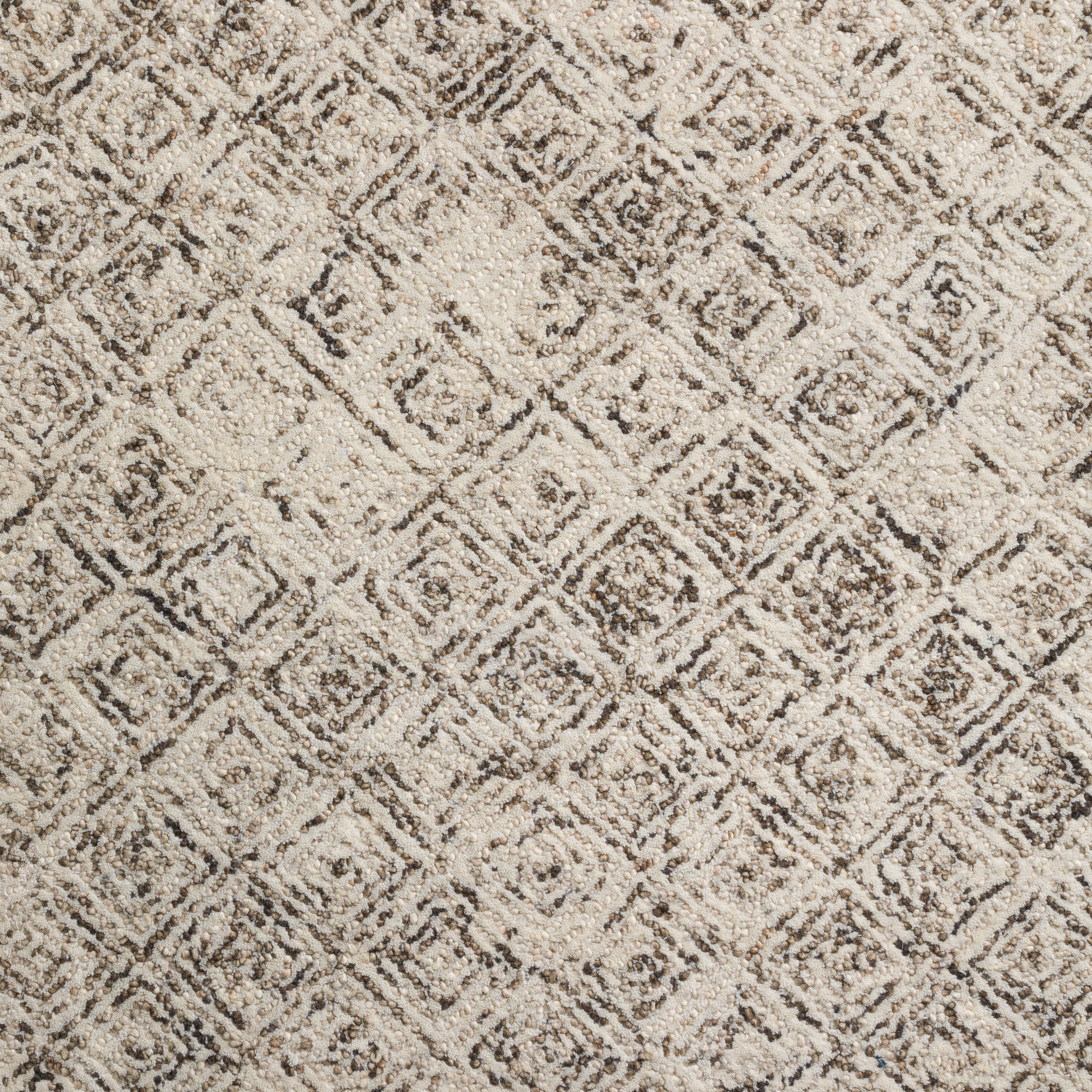 Addison Rugs ADL31CO4X6 rugs - View #2
