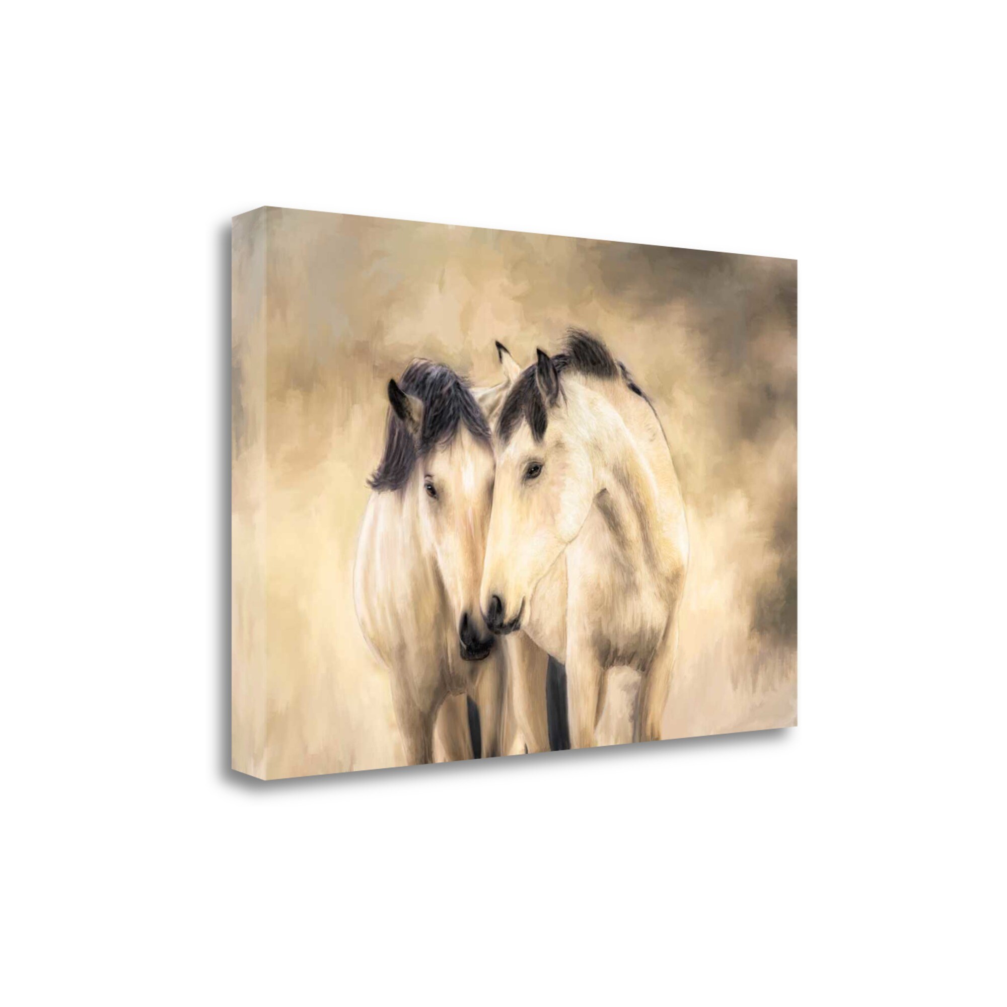 Tangletown Fine Art CA316473-2416C Sisters Wendy Caro 16-in H x 24-in W Animals Print on Canvas