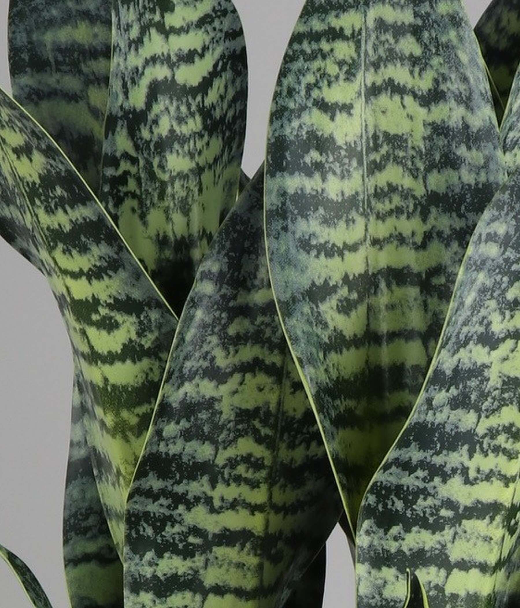Origin 21 22LOW134 Artificial-Plants-Trees - View #12