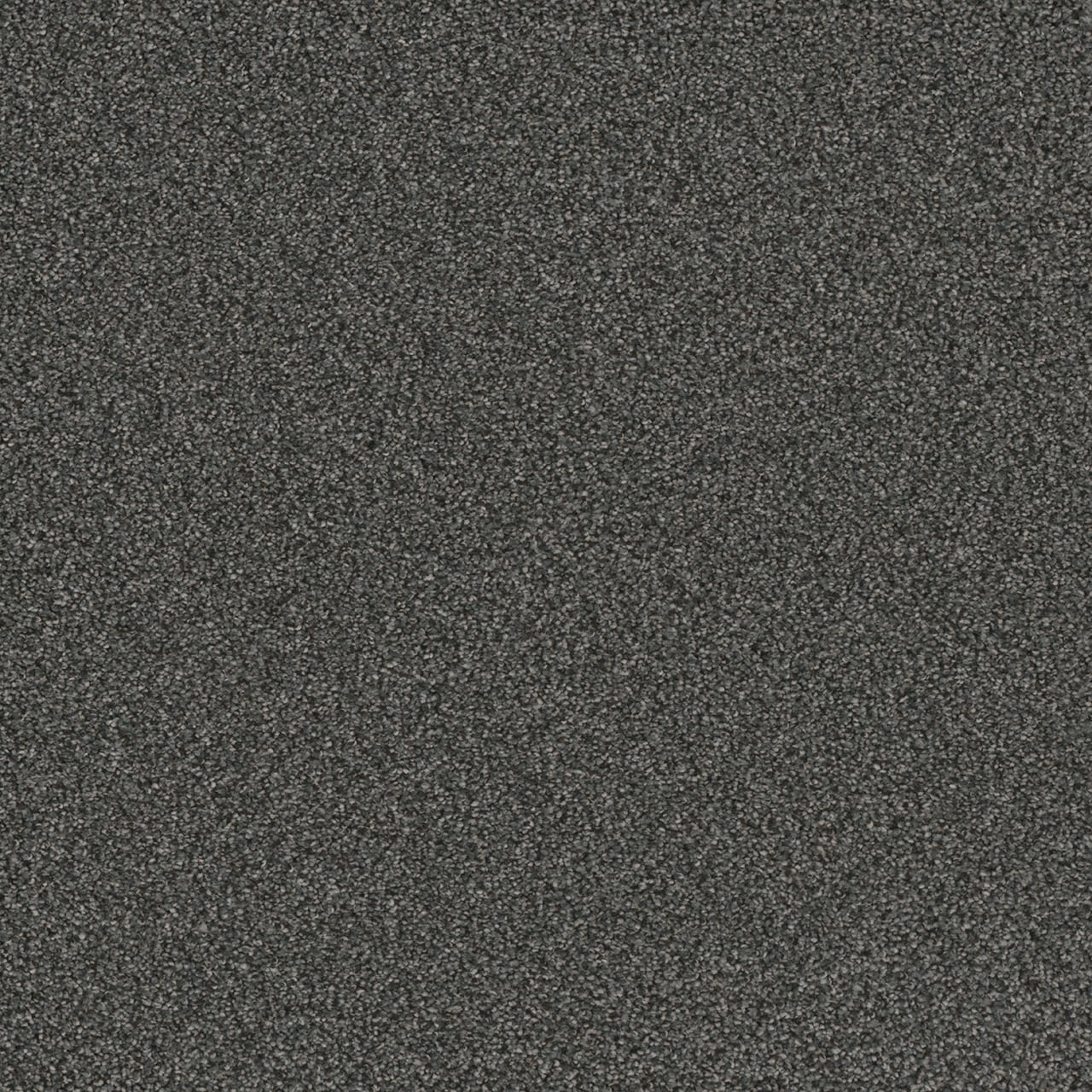 STAINMASTER (Sample) Mulberry Gray 46-oz sq yard Solution-dyed ...