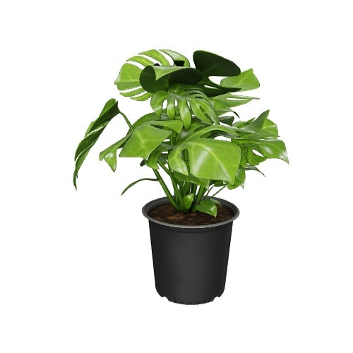 Three-dimensional representation of the product