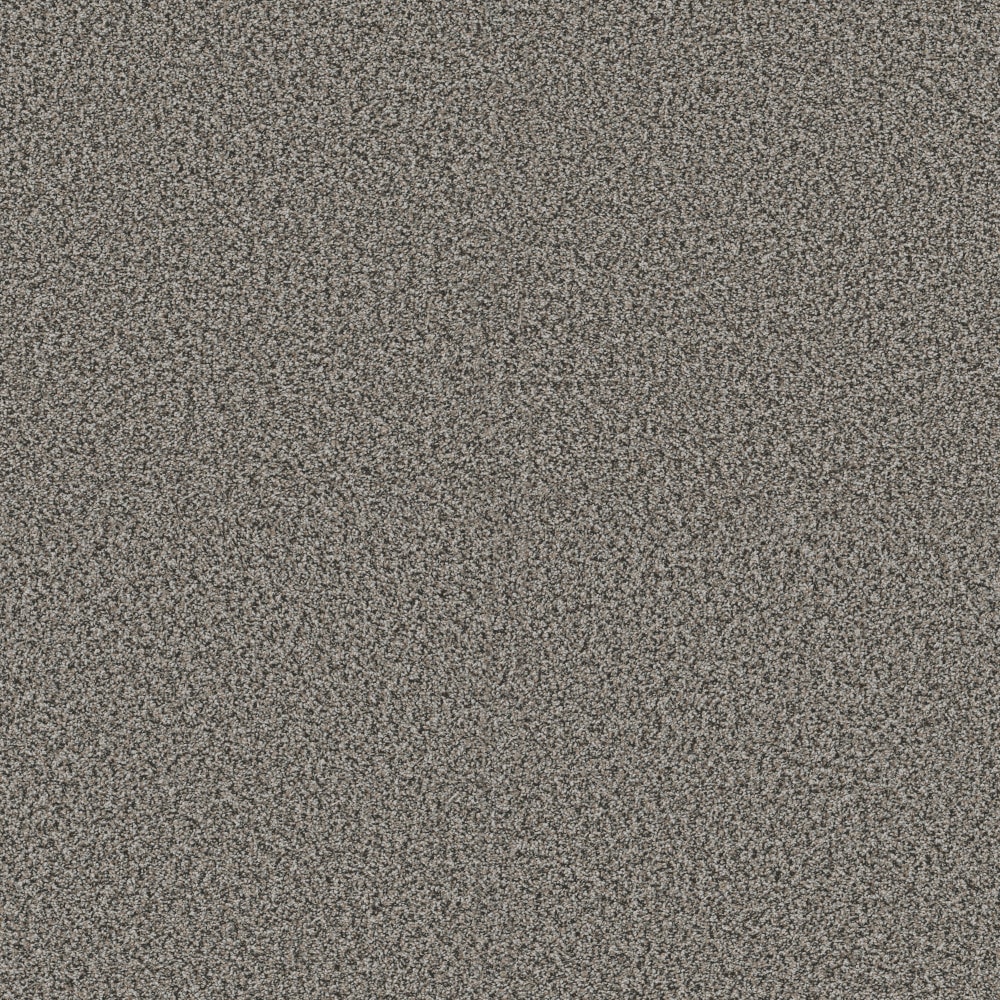 STAINMASTER PetProtect 7L965-504-SAMP (Sample) 8-in x 8-in with LeakDefense Pet Parade I Shadows Gray 43.9-oz sq yard High-performance polyester Textured Indoor Carpet