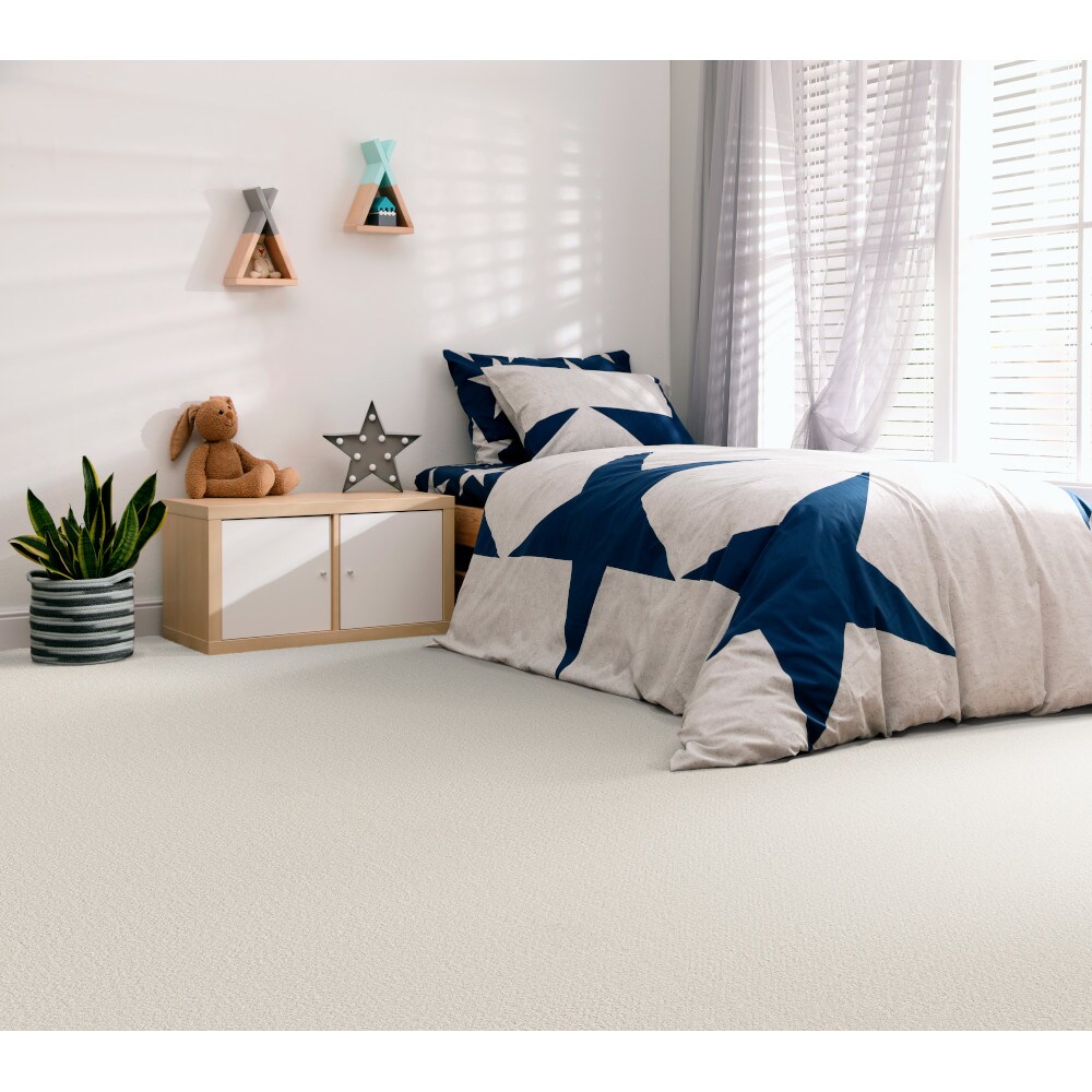 STAINMASTER PetProtect 7L850 - 153 - SAMP Carpet-Samples - View #4