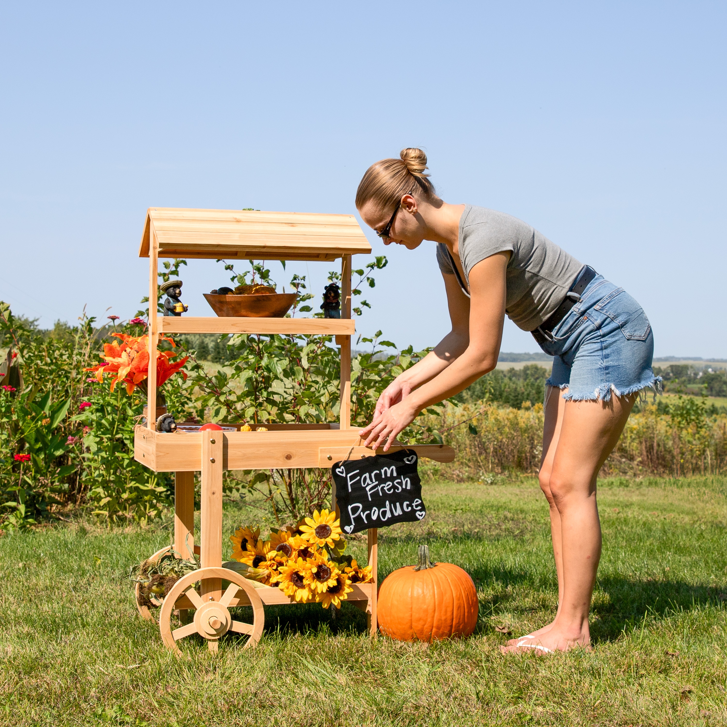 Sunnydaze Decor IEO-8341 Raised-Planter-Boxes - View #3