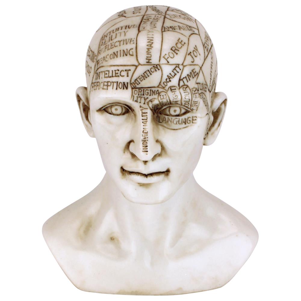 Design Toscano PD4068 Phrenology Science Of The Brain Statue