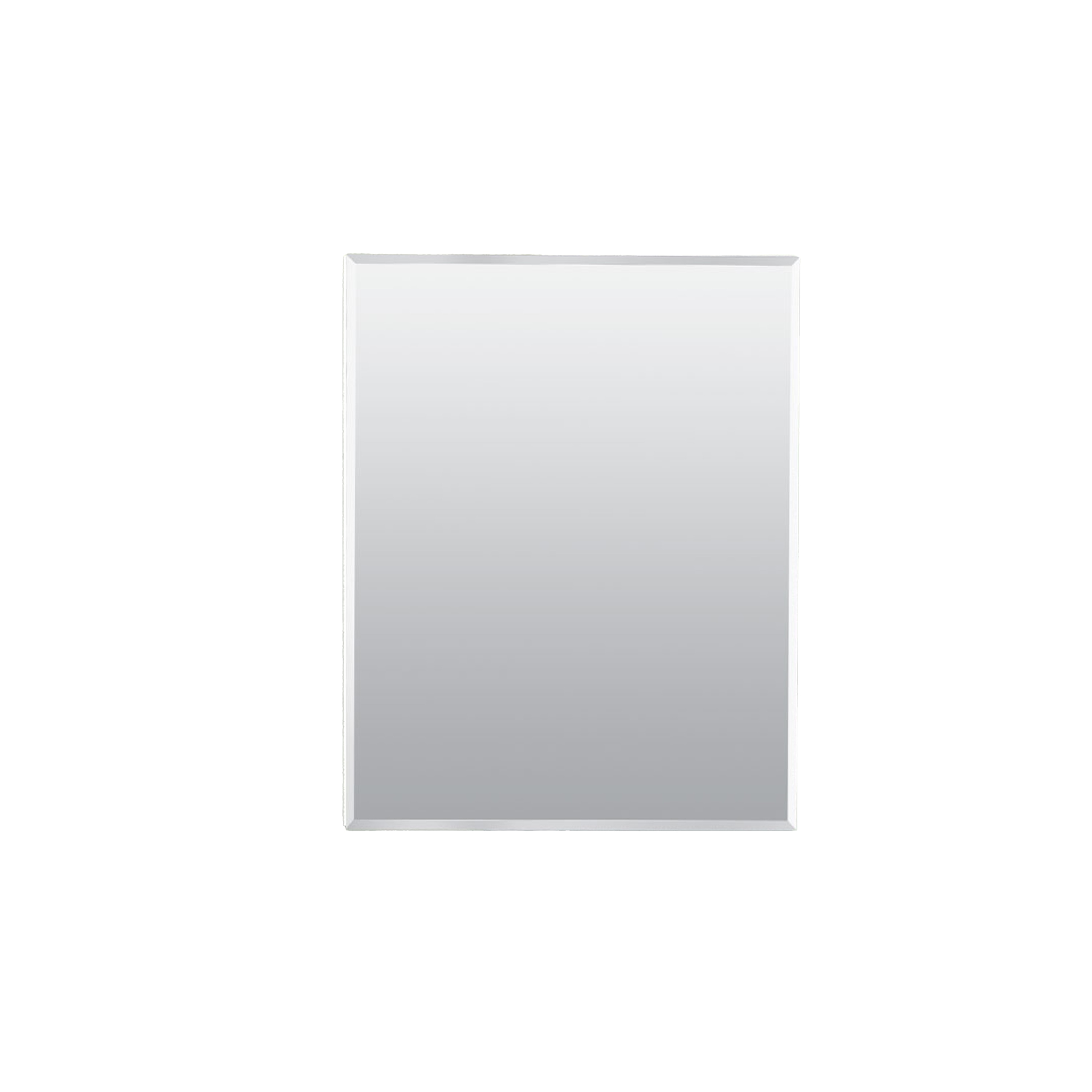Project Source MP109MV 16-in x 20-in Surface/Recessed Mount Frameless Mirrored Rectangle Medicine Cabinet