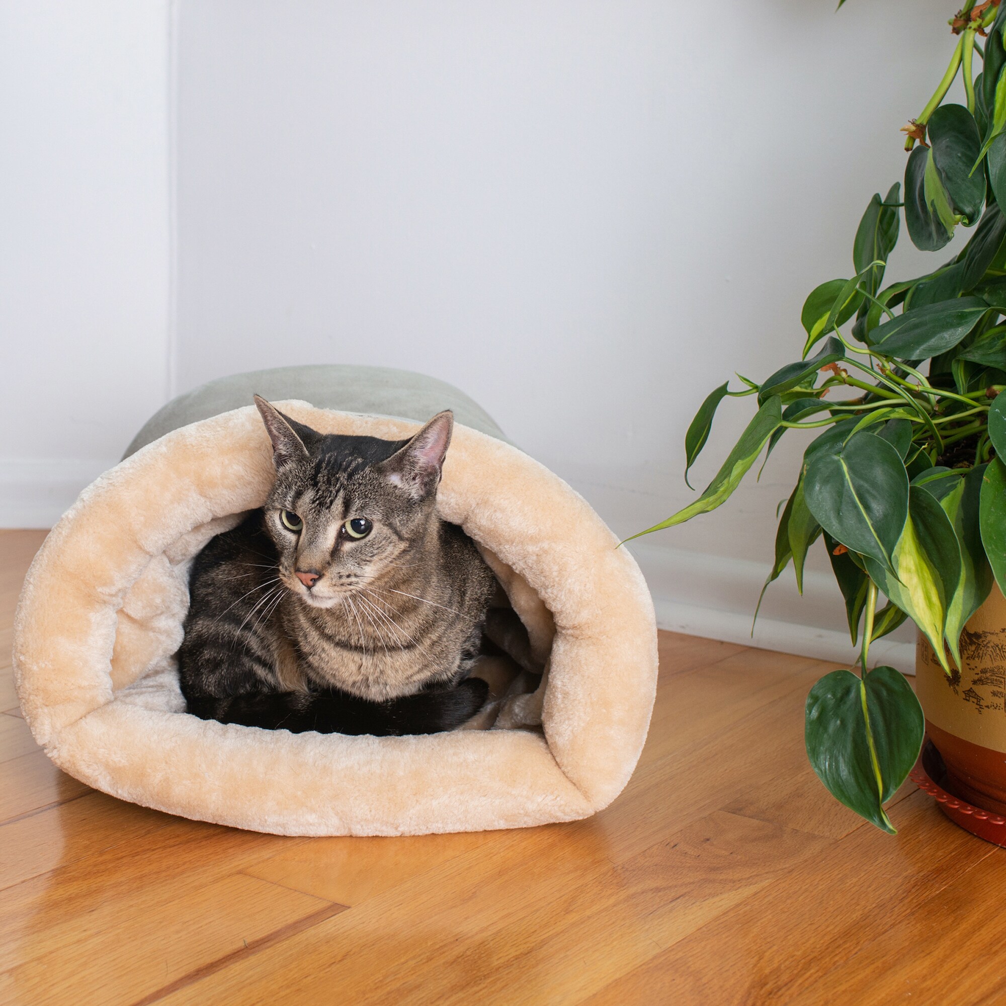 Armarkat C15HHL/MH Pet-Beds - View #9