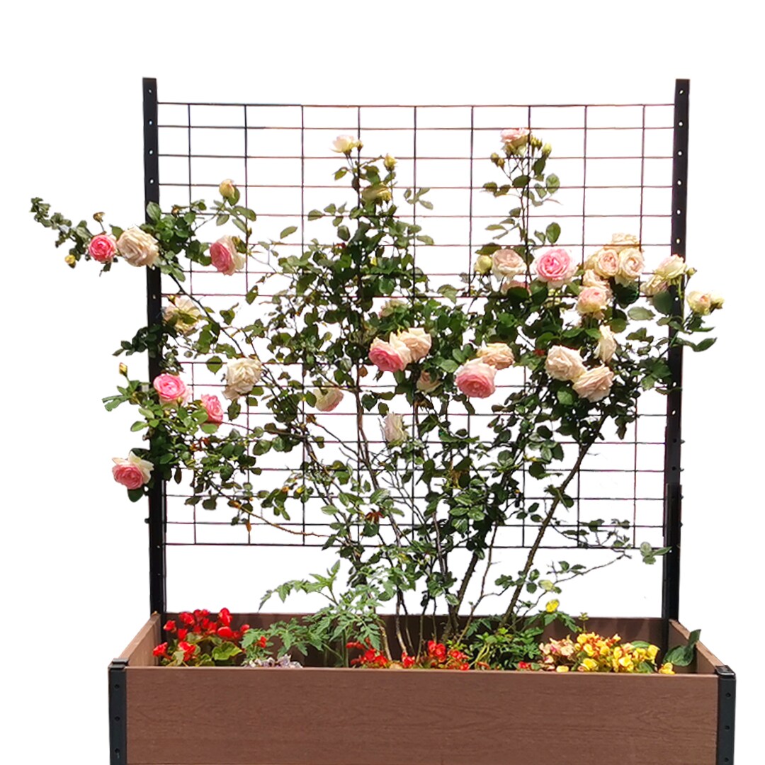 Everbloom T333617K2 Garden-Trellis - View #2