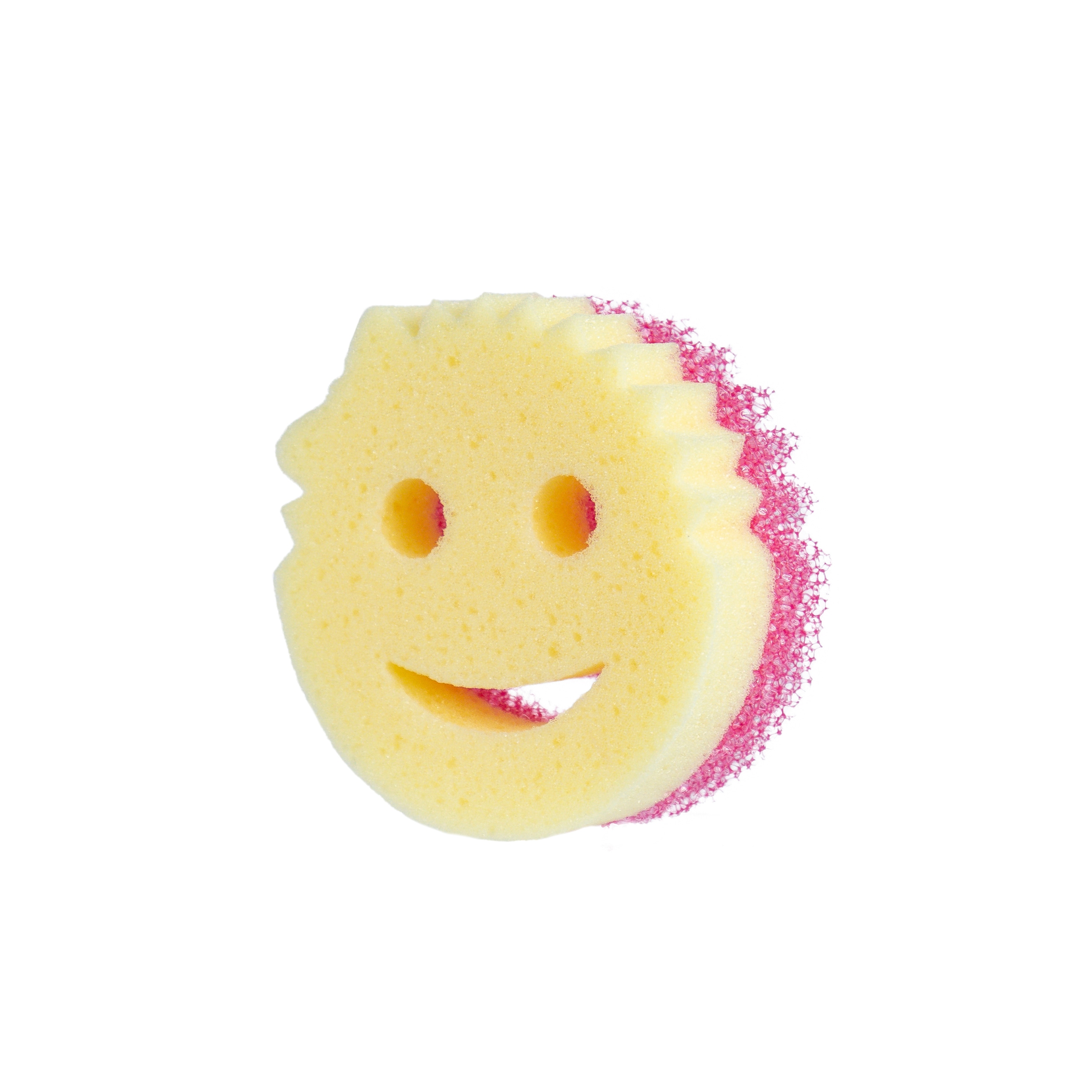 Smiley Sponge