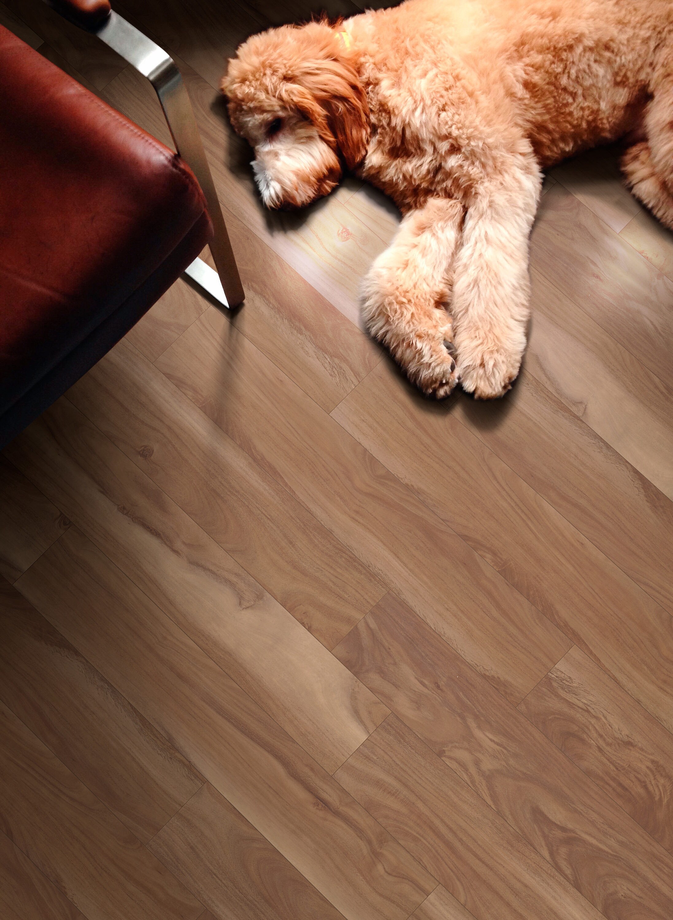 Ambient - Rigid Core Luxury Vinyl Plank, Waterproof LVP Flooring Sample,  Color: Wilde Acacia : : Home Improvement