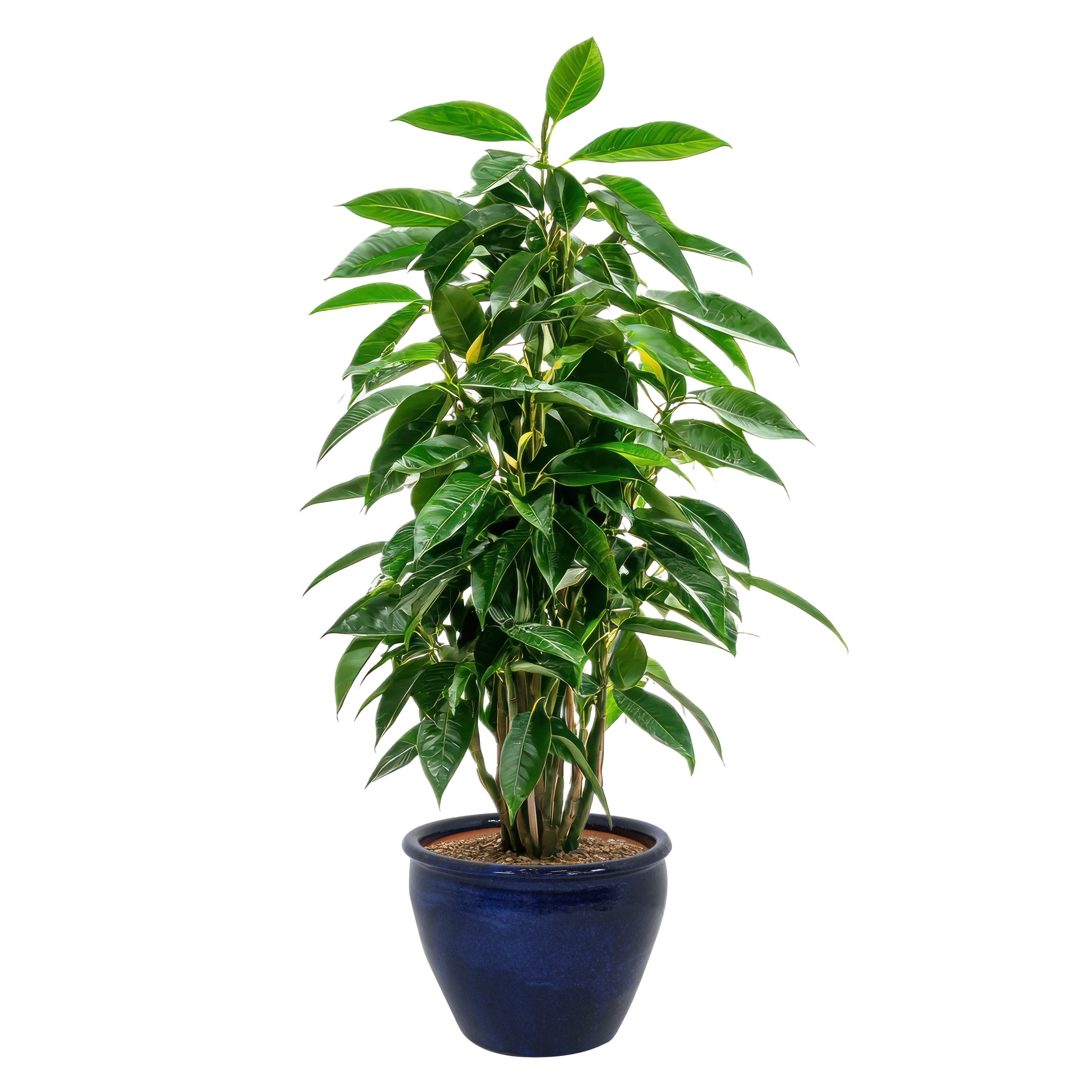 Sunnydaze Decor AP-827 Planter-Window-Box - View #5