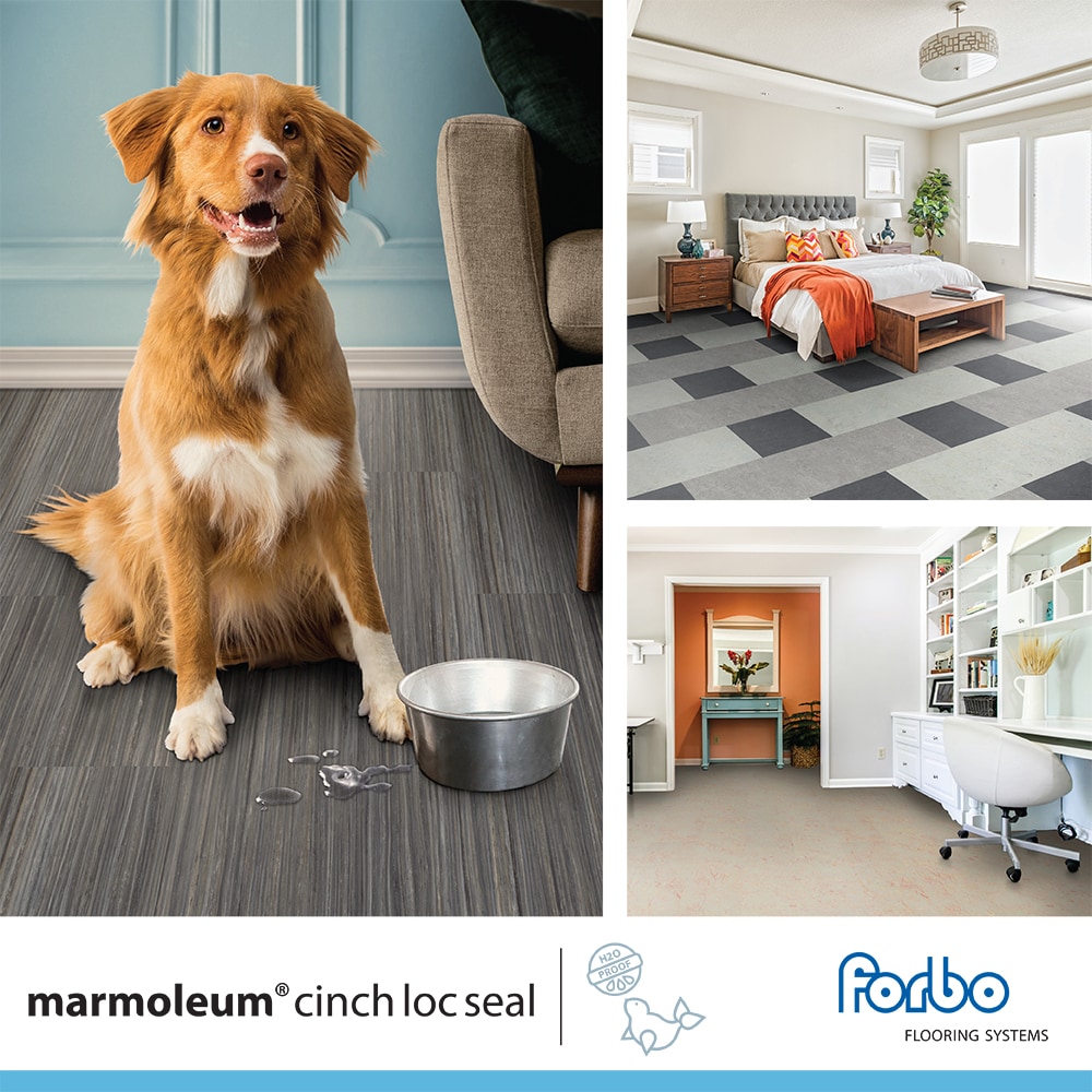 Forbo Marmoleum Cinch Loc Seal Seal Painters Palette 10-mm T x 12-in W x 12-in L Waterproof Tile Look Flooring (6.78-sq ft) in the Laminate Flooring department at Lowes.com