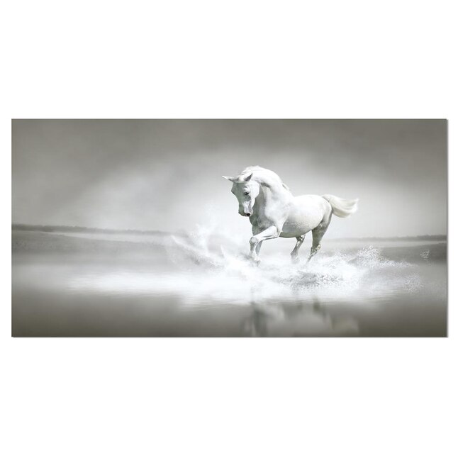 Designart White Horse Running in Water- Animal Canvas Art Print in the ...