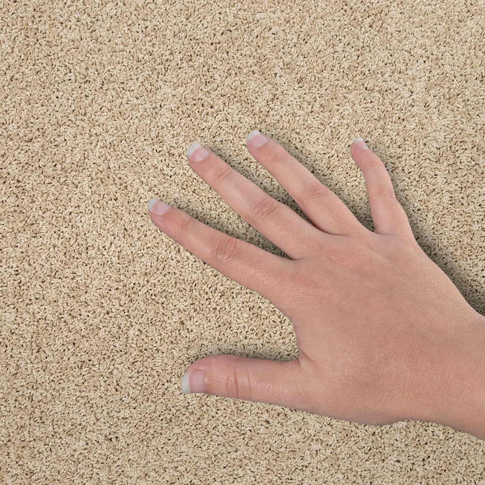 STAINMASTER SS040-12-L010 Carpet-Panel - View #4