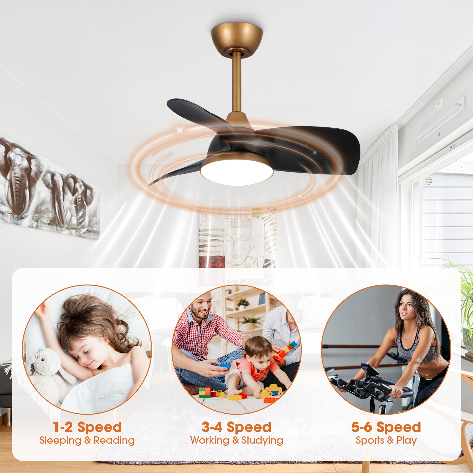 Parrot Uncle F6335110V Ceiling-Fans - View #9