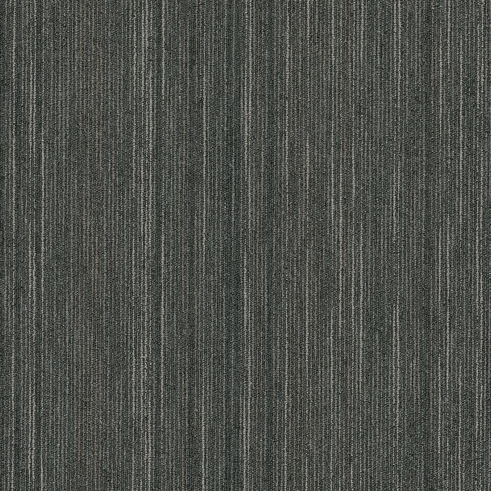 Shaw 7L81045515 Mastermind 24-in x 24-in Sharp Black Commercial Adhesive Indoor Carpet Tile ( 79.99-Sq. Feet )