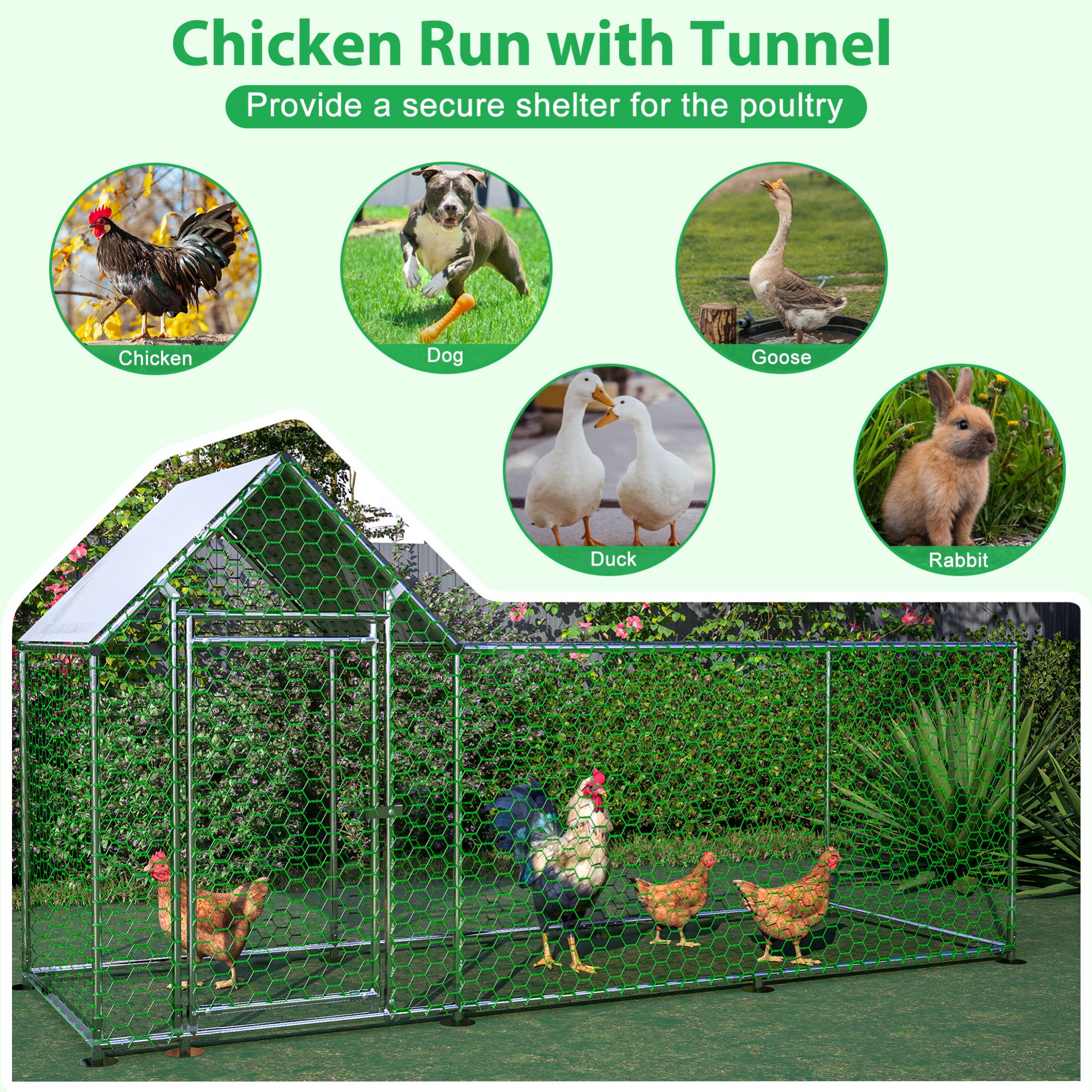 Siavonce XH51984 Chicken-Coops-Rabbit-Hutches - View #5