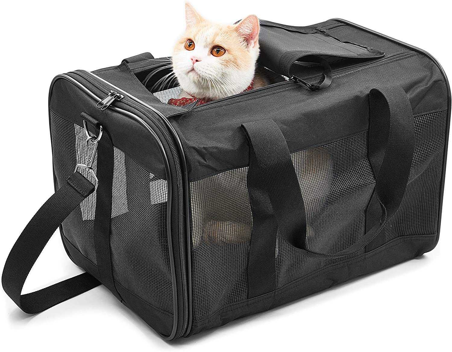 Basics Medium Soft-Sided Mesh Pet Airline Travel Carrier Bag - 16.5  x 9.5 x 10 Inches, Black