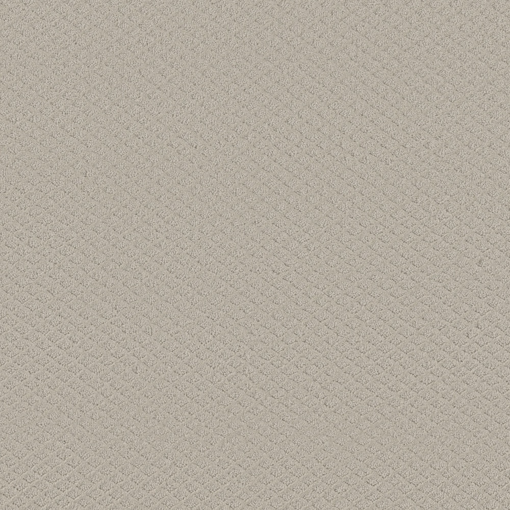 STAINMASTER (Sample) 8-in x 8-in Belmont Blvd Rock Crystal Gray 25-oz sq yard Nylon Pattern Indoor Carpet