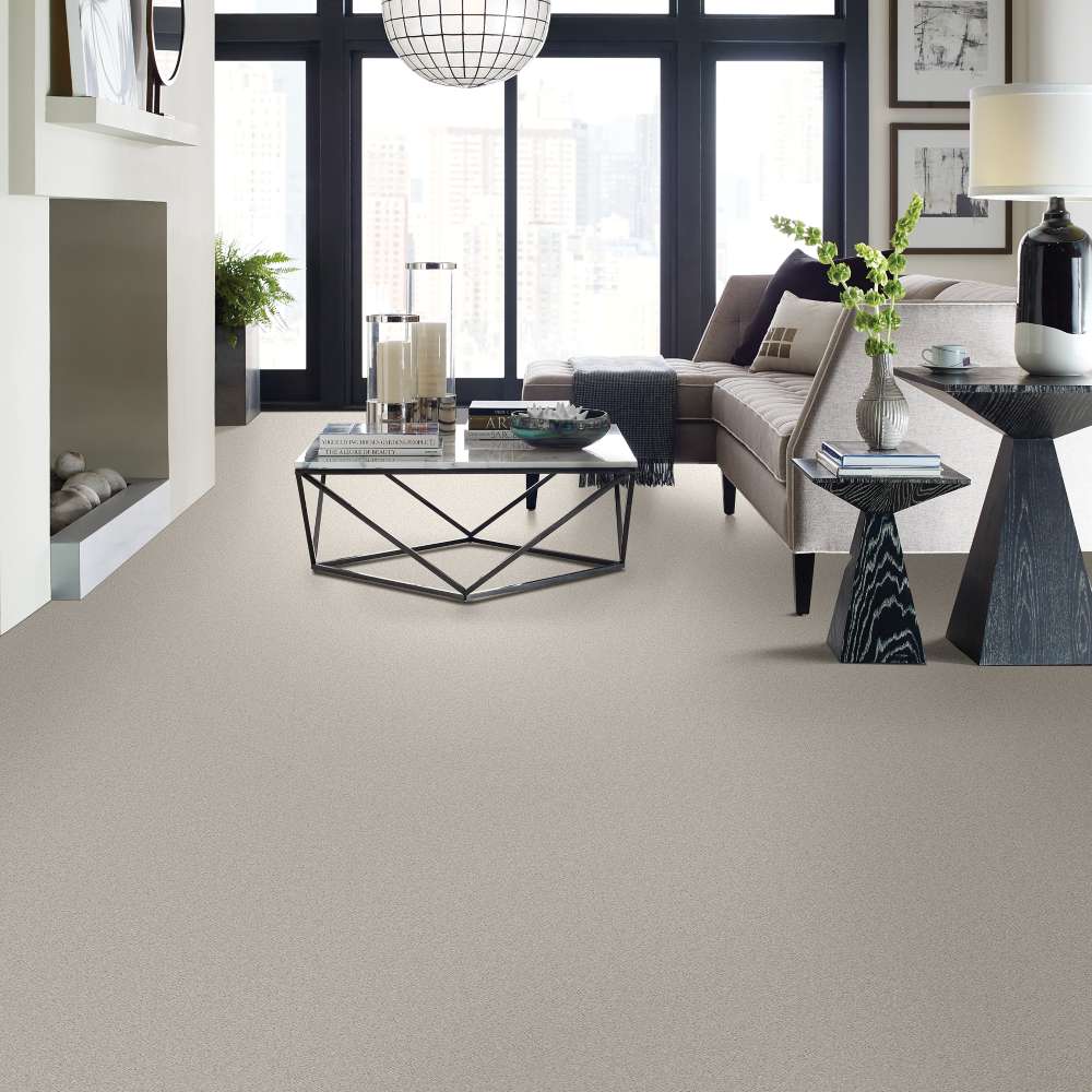 STAINMASTER 7L79100320 Carpet-Panel - View #3