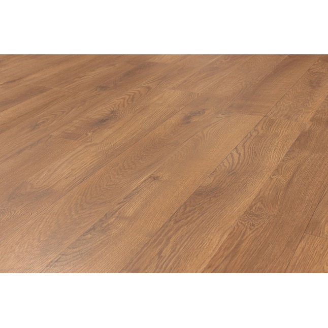 Style Selections Style Acorn Oak 8-mm Thick Wood Plank Laminate Flooring  Sample in the Laminate Samples department at Lowes.com