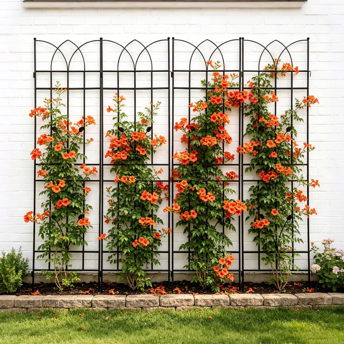 Loheer W1586P147482 Garden-Trellis - View #3