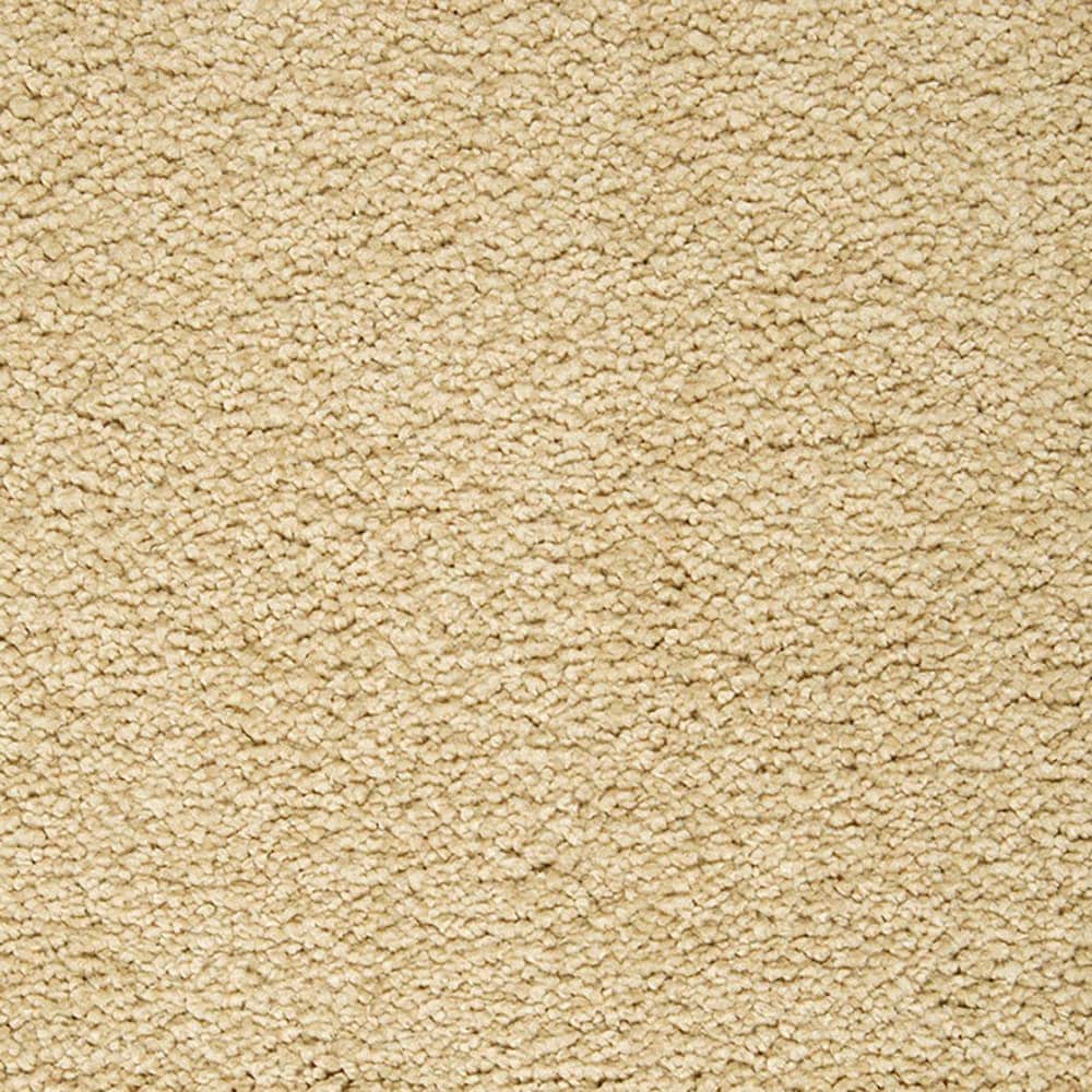 STAINMASTER PetProtect STP54-L018-0808 (Sample) Beau Dacious Shoreline Brown 48-oz sq yard Triexta Textured Indoor Carpet