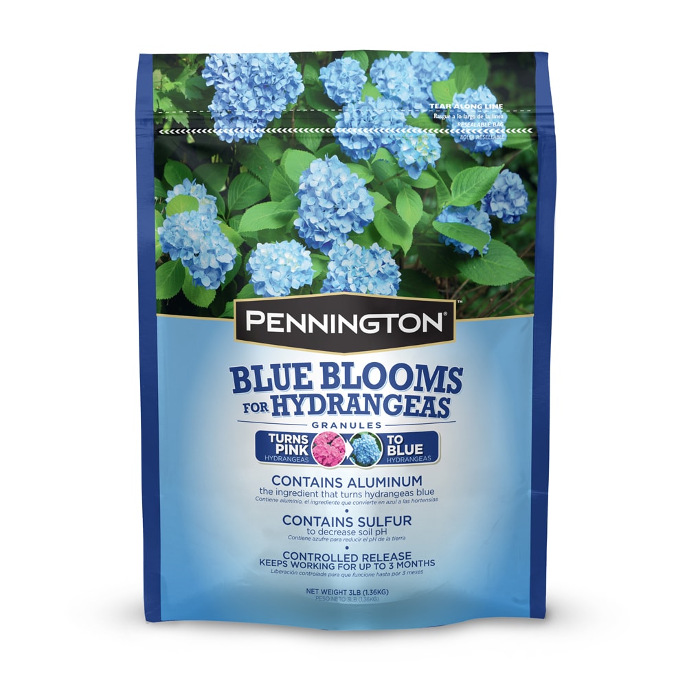 Pennington Blue Blooms for Hydrandeas 3-lb Shrub Food at 