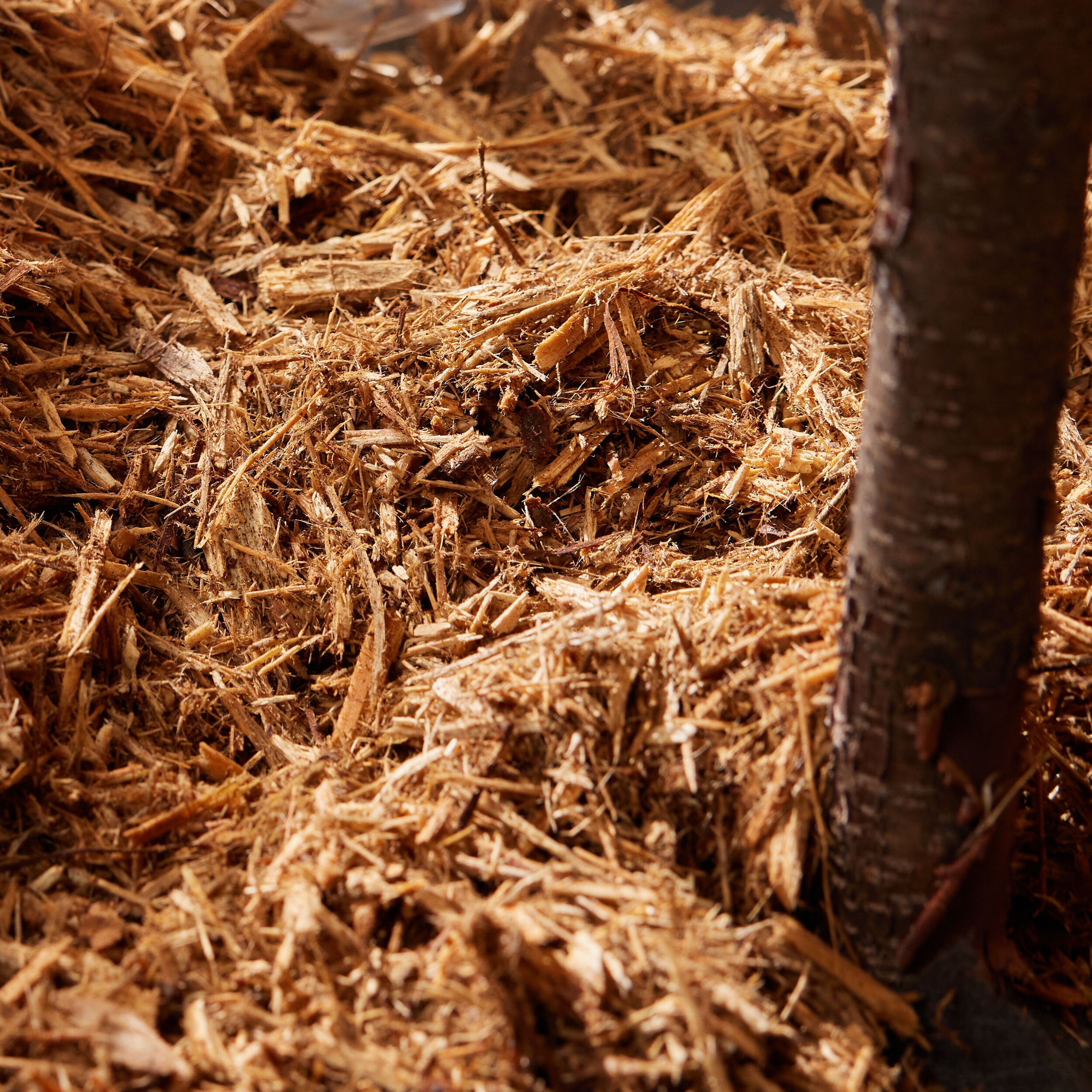 Gardenscape GCYP2 Bagged-Mulch - View #3