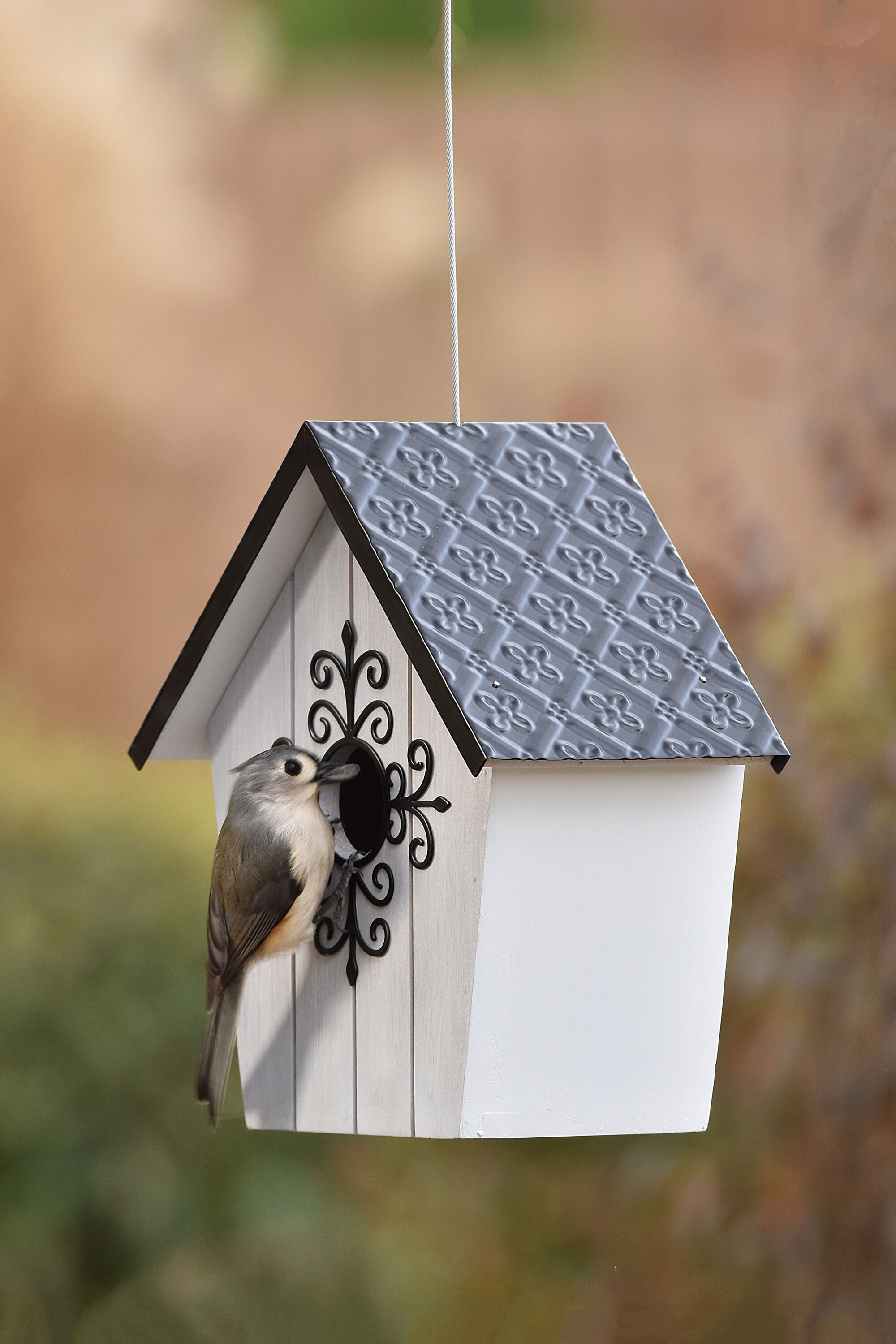 Style Selections 02-1206-30-13 Bird-Houses - View #8
