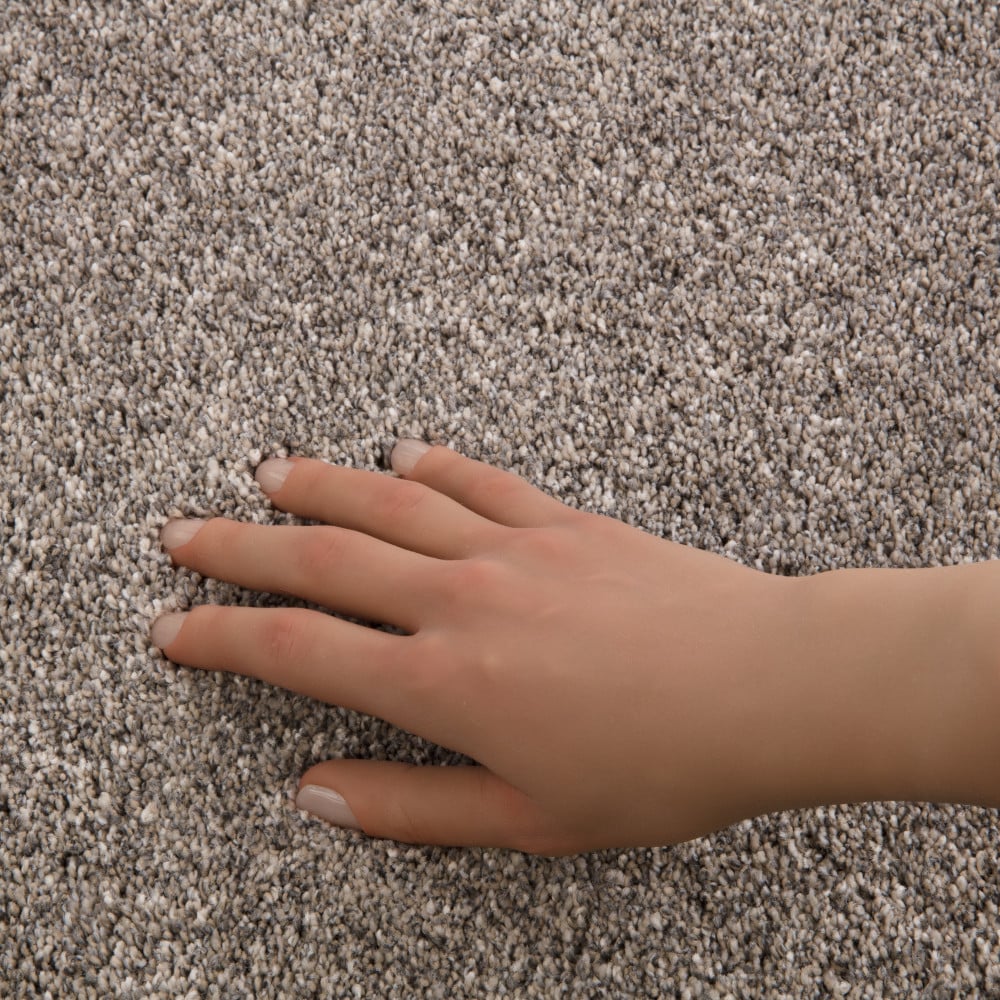 STAINMASTER PetProtect 7L941-156-SAMP Carpet-Samples - View #4