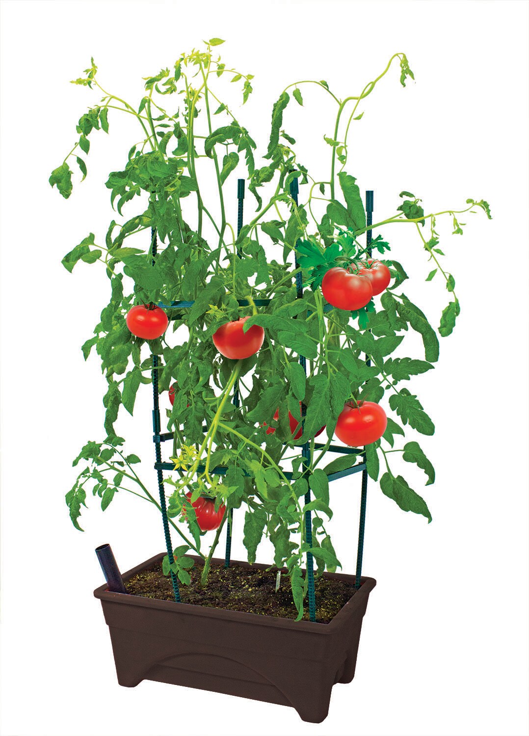 EMSCO GROUP 2376-2-1 Raised-Garden-Beds - View #6