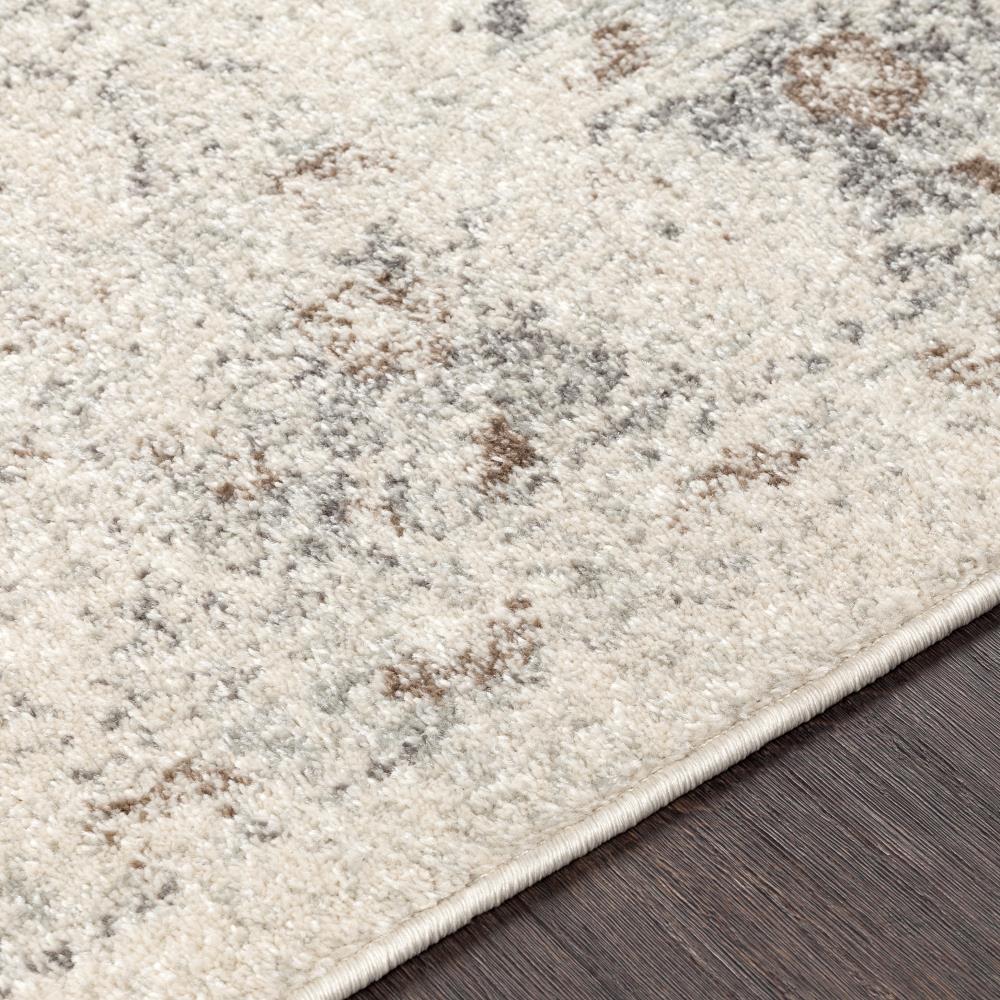Surya CSA2321-710103 rugs - View #3