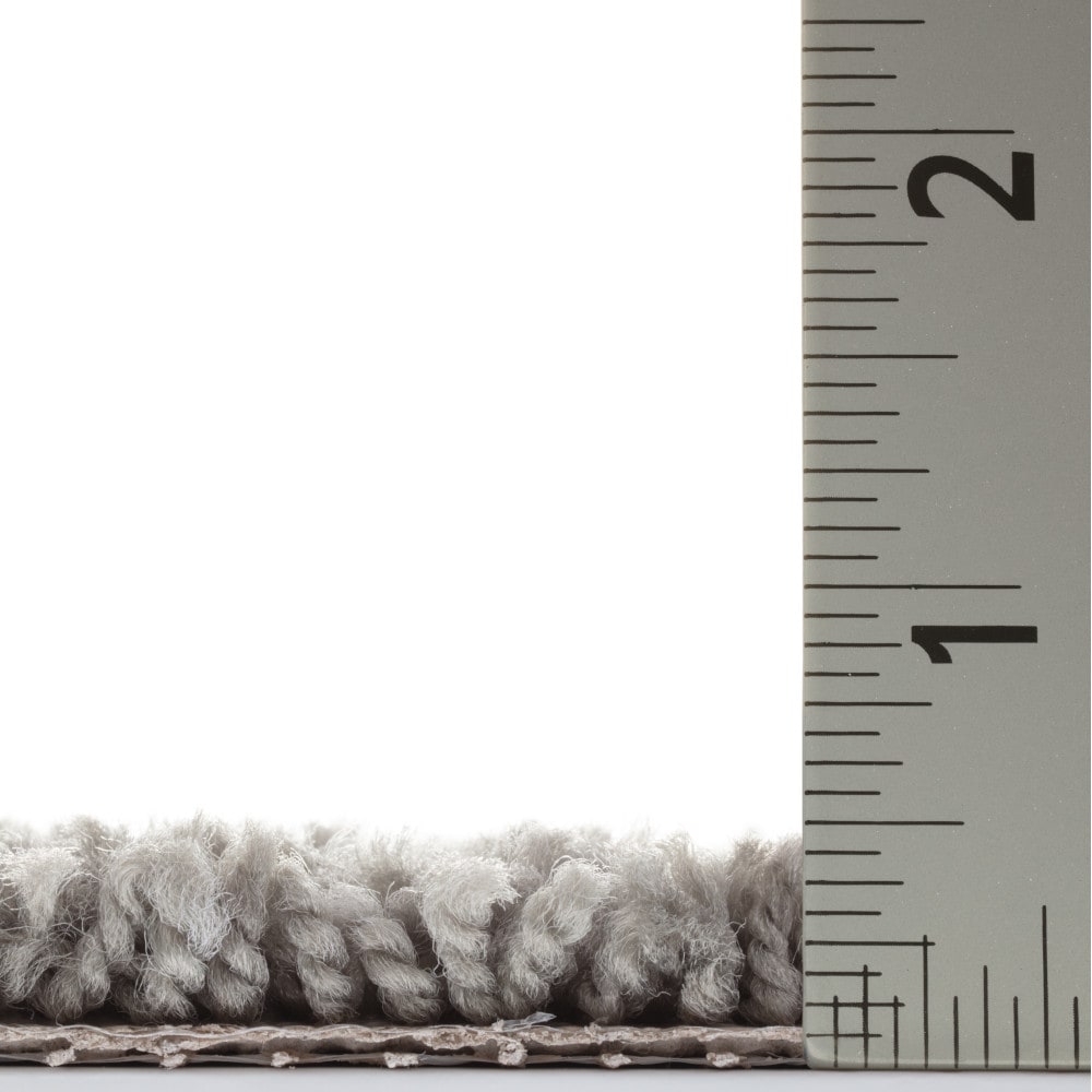 Style Selections 7L919-502-SAMP Carpet-Samples - View #5