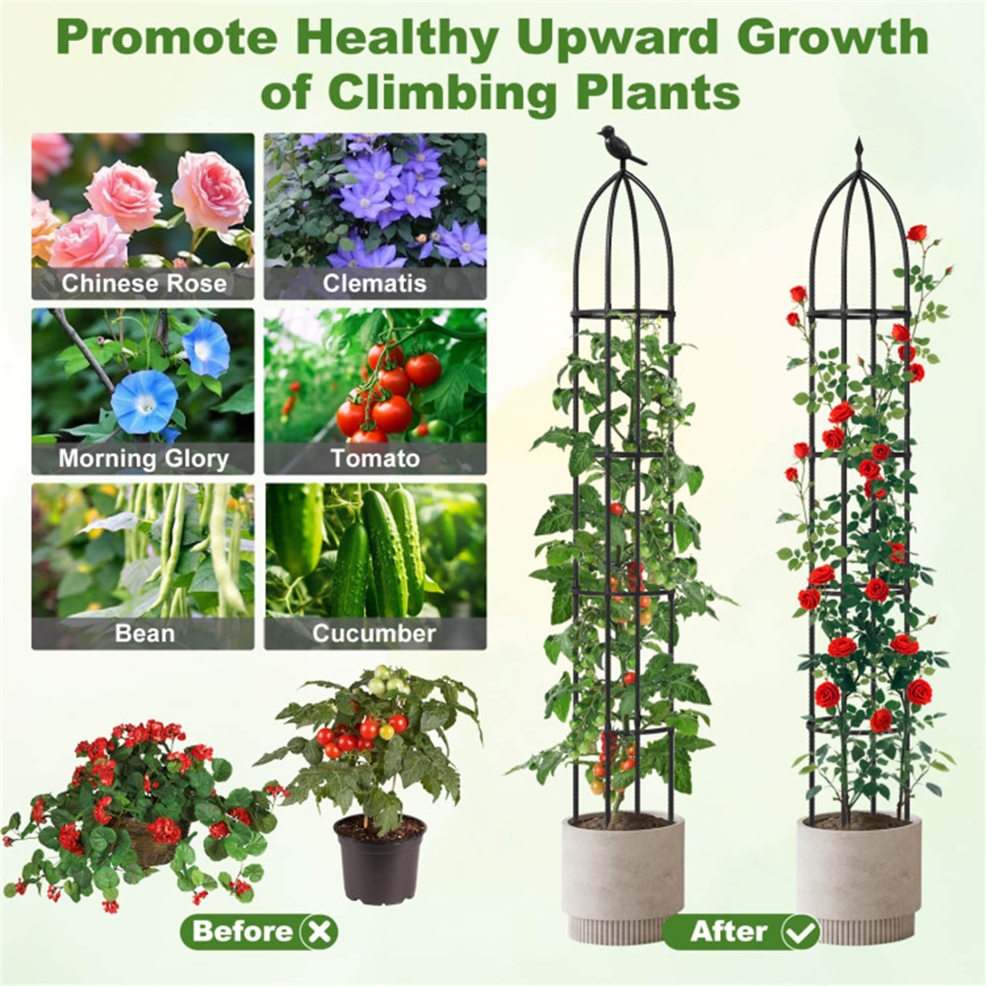 BABOOM BOM-T4164BK-CO Garden-Trellis - View #7