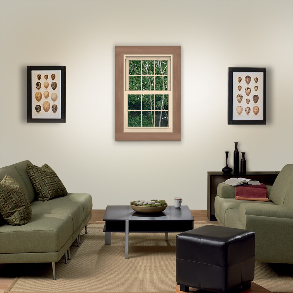 JELD-WEN LOWOLJW179200138 Double-Hung-Windows - View #4