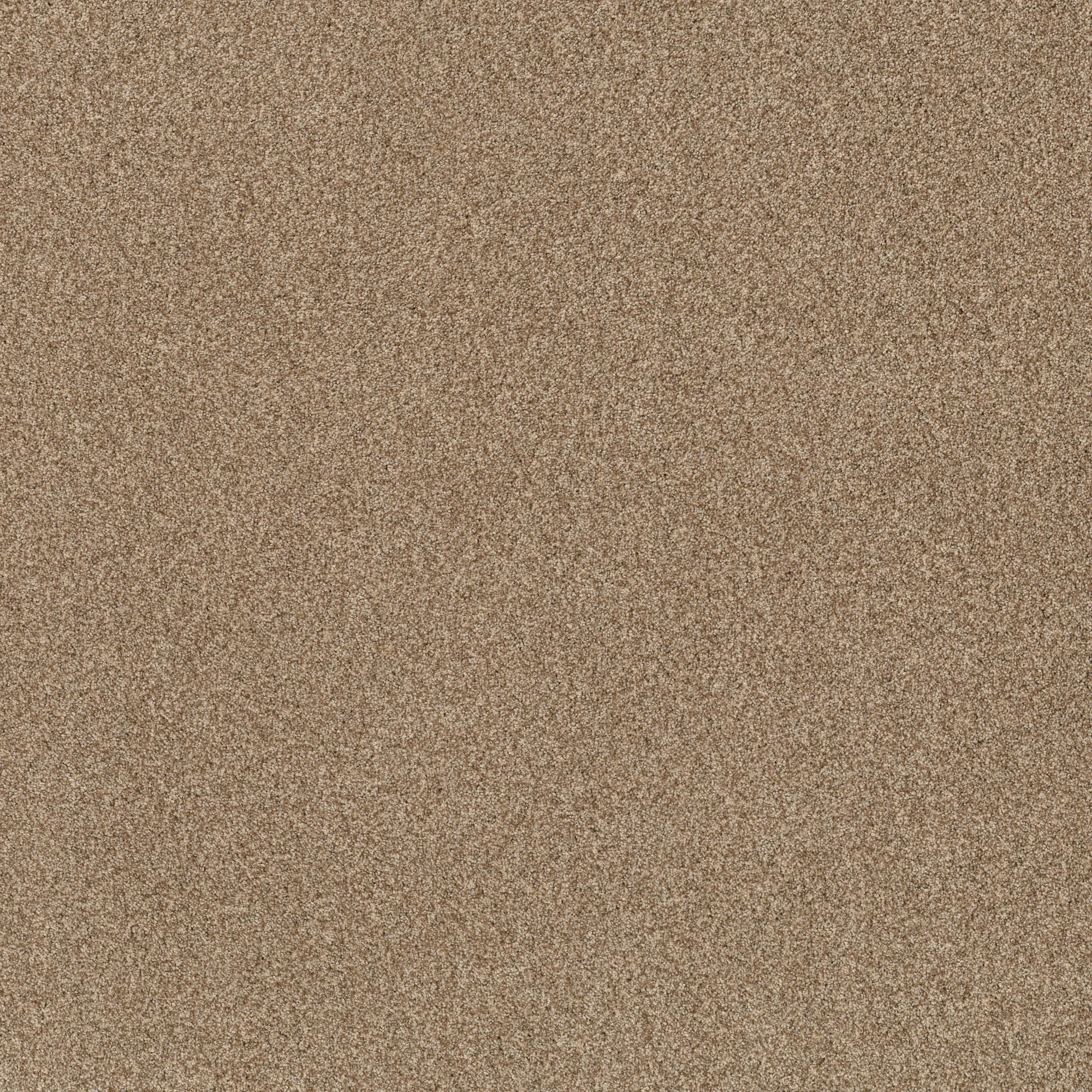 STAINMASTER PetProtect Reverie III Hazel Textured Indoor Carpet in the ...