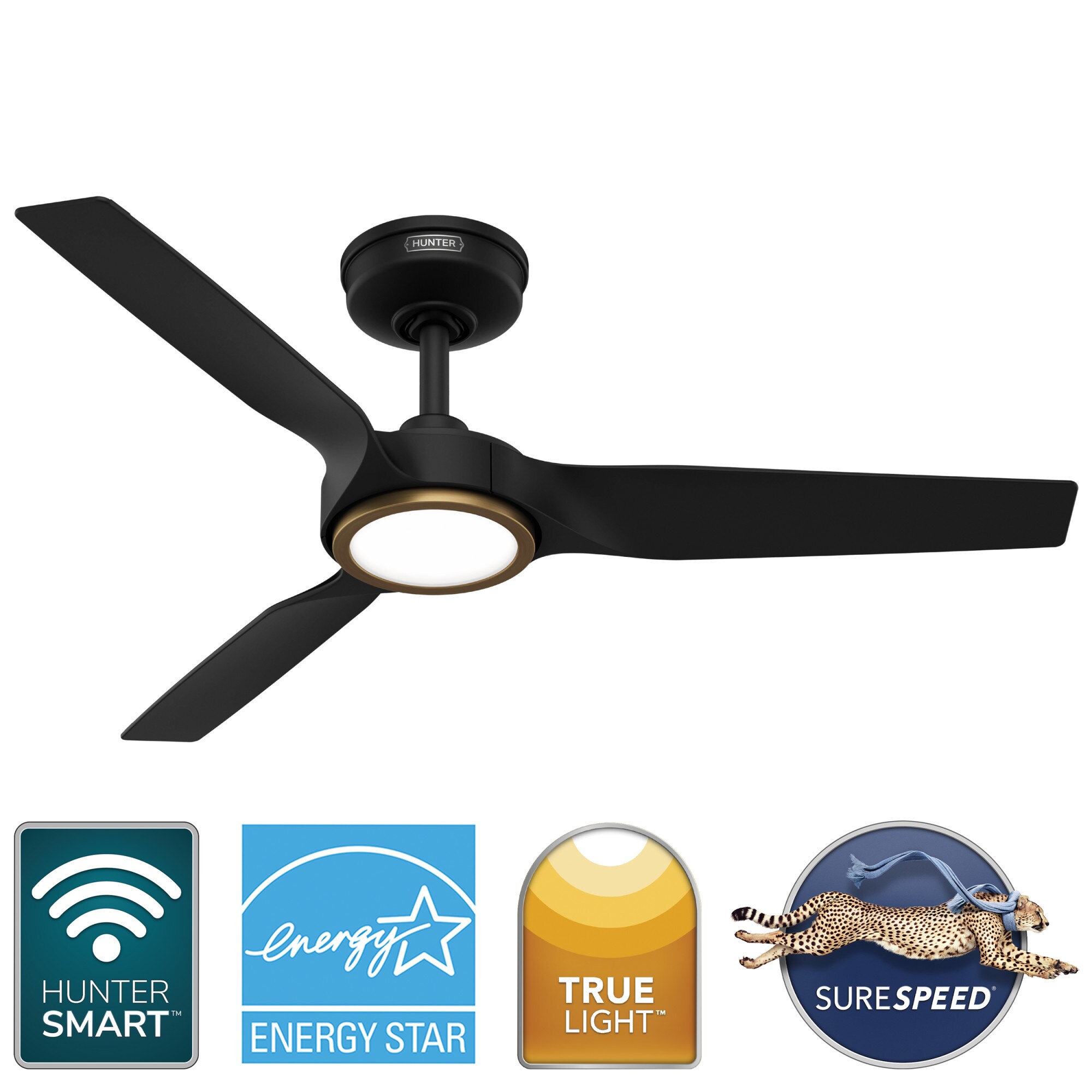 Hunter 53642 Ceiling-Fans - View #2