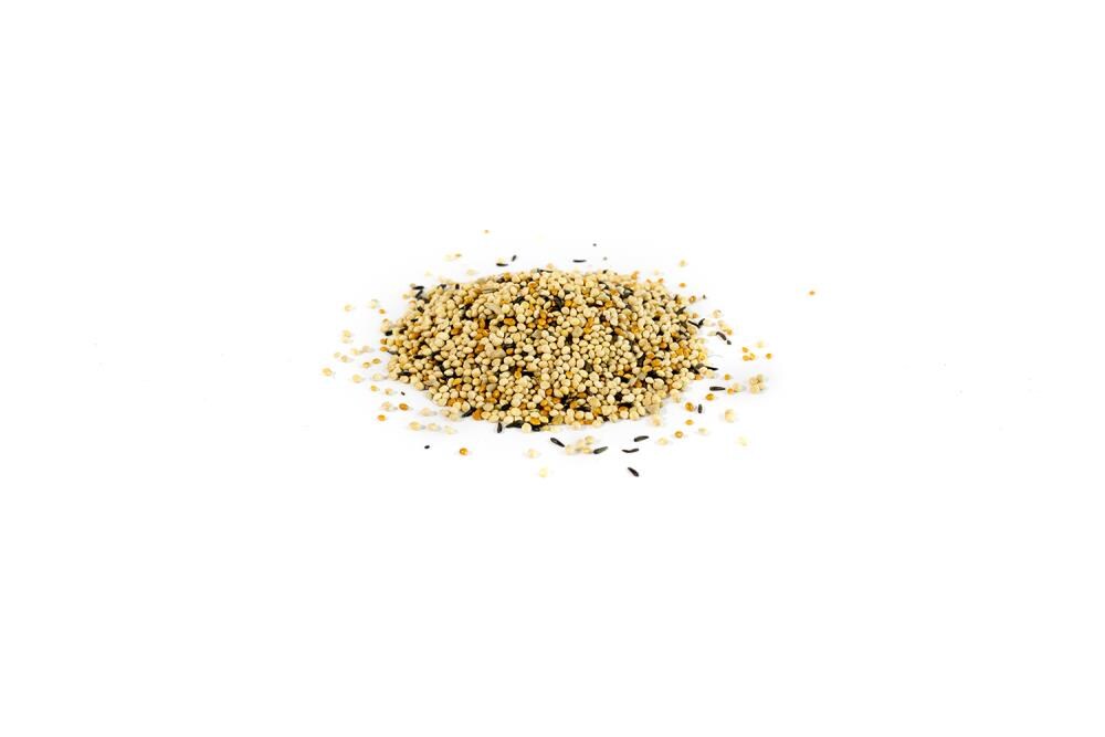 National Audubon Society 009466 Bird-Squirrel-Food - View #2
